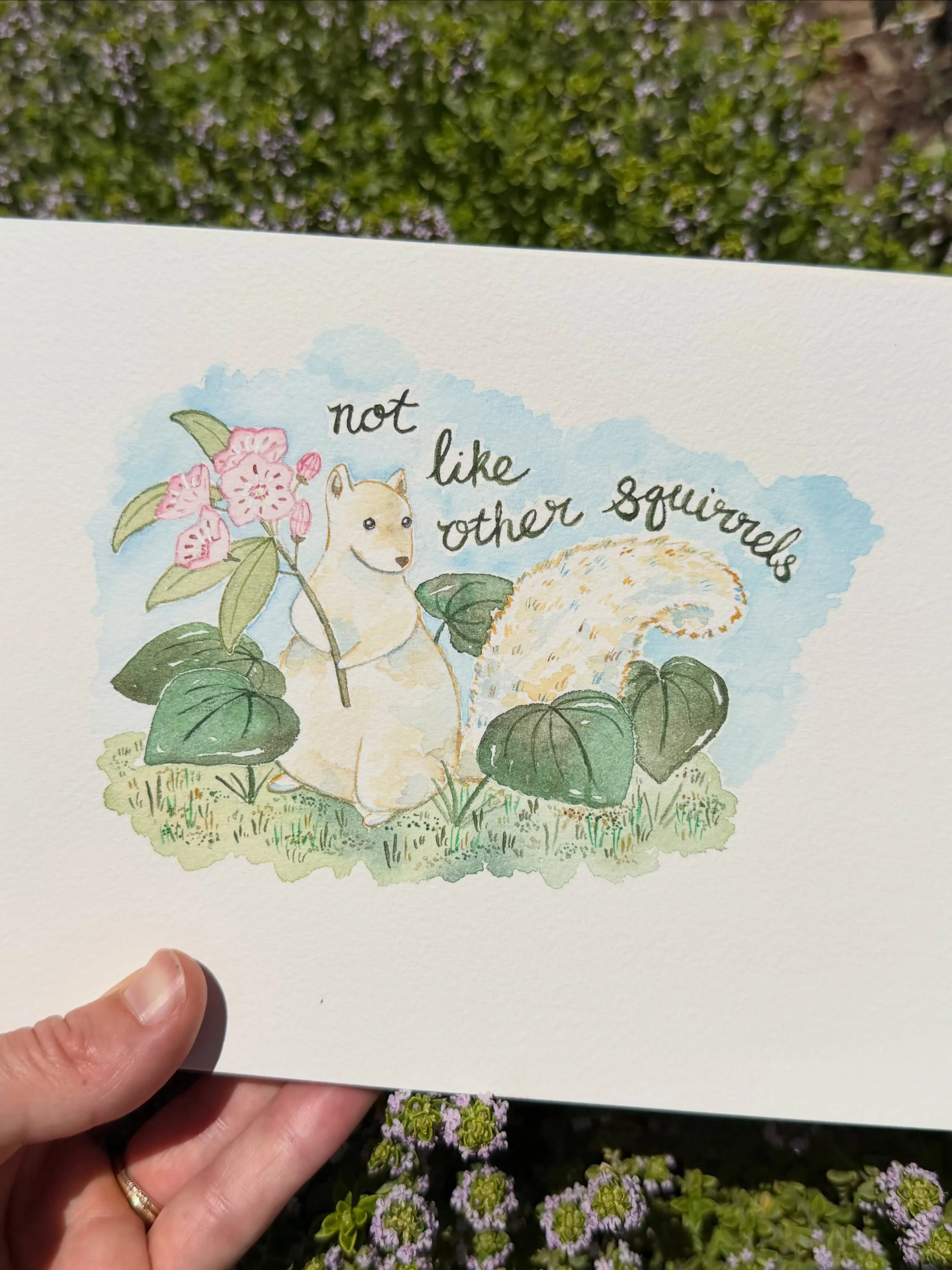 The white squirrel? She&rsquo;s not like other squirrels 💁&zwj;♀️

This weekend, come join me at the @heartofbrevard White Squirrel Festival in downtown Brevard NC! I&rsquo;ll have a tent downtown on Saturday May 23 and Sunday May 24 from 10am to 5p