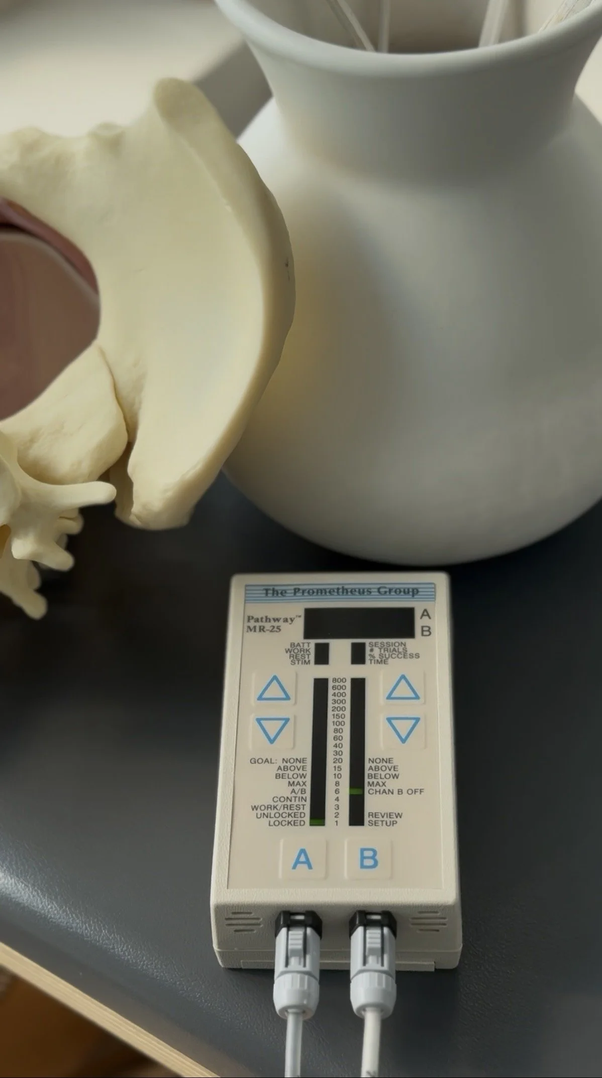 Pelvic Floor Biofeedback: The Fix for Chronic Constipation and Bloating