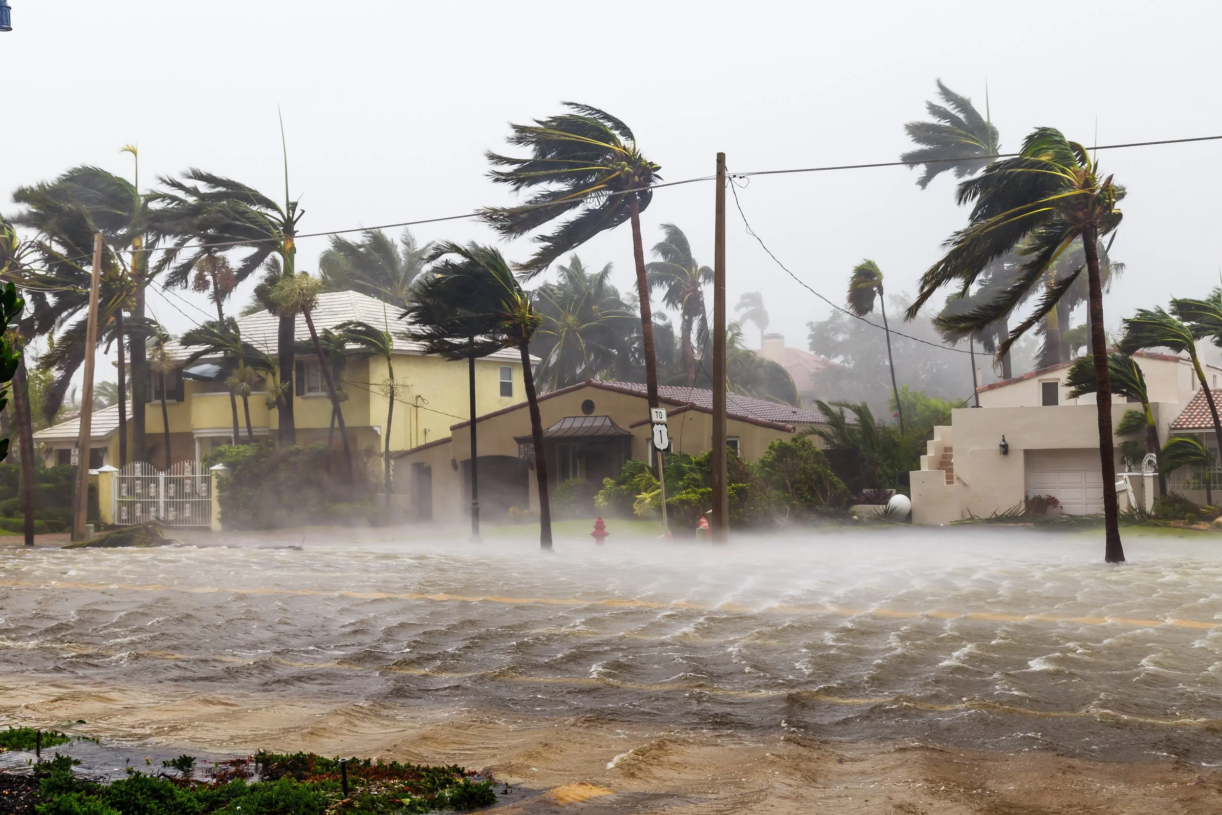 $50,000 is Donated to the Florida Disaster Fund’s Recovery Efforts After Hurricane Ian 