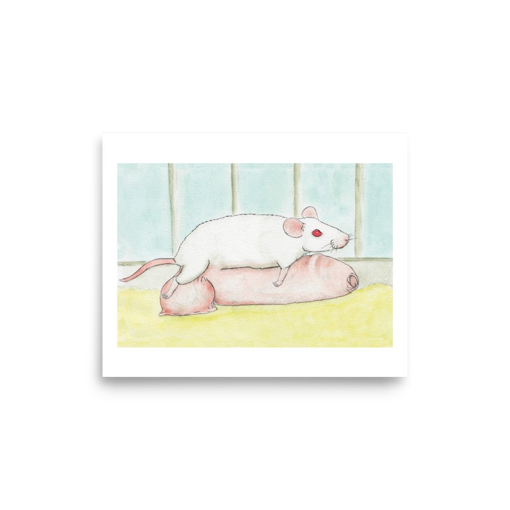 enhanced-matte-paper-poster-(in)-8x10-front-671e84e2ad19d.jpg
