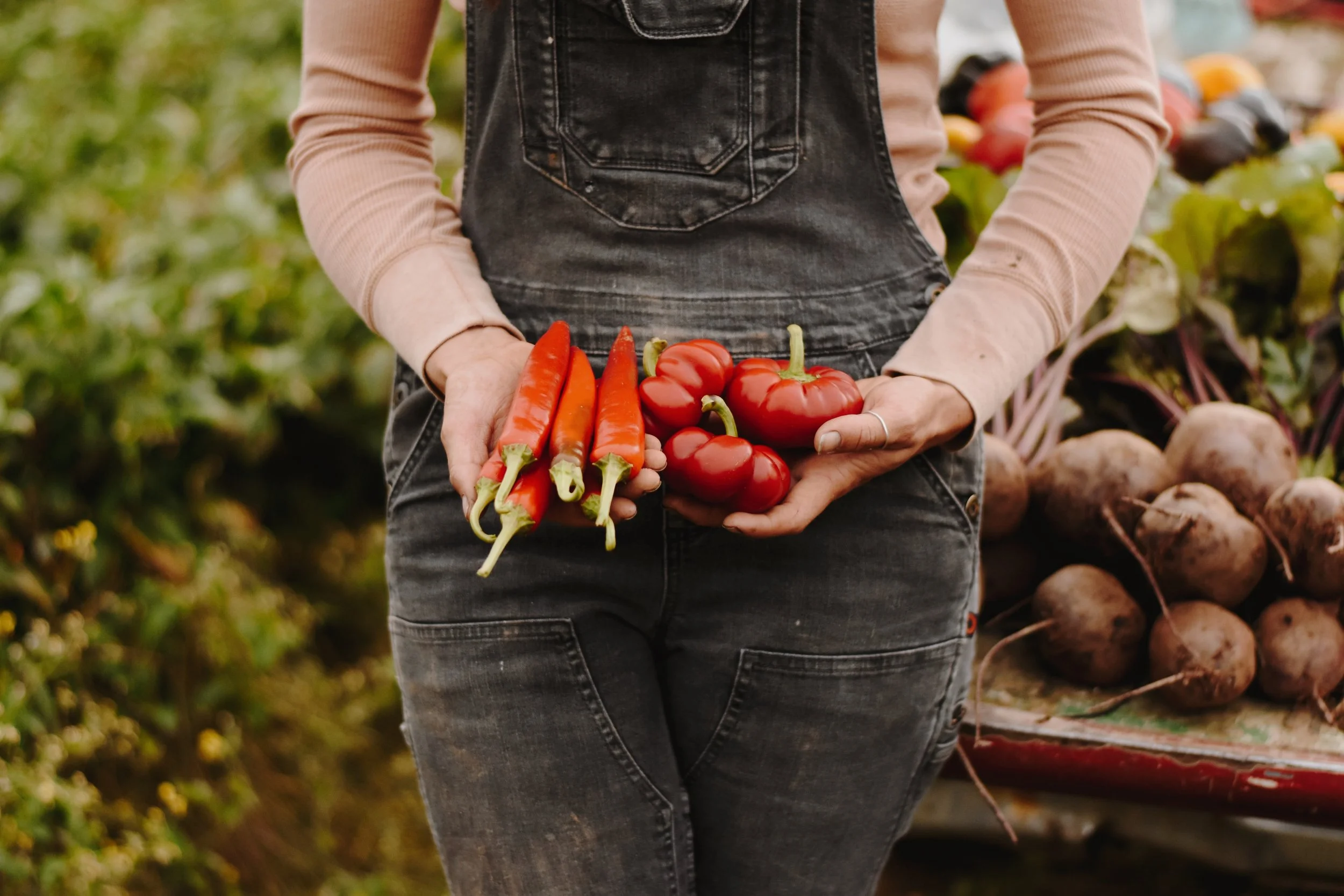 WHAT'S IN SEASON — Thorpe's Organic Family Farm