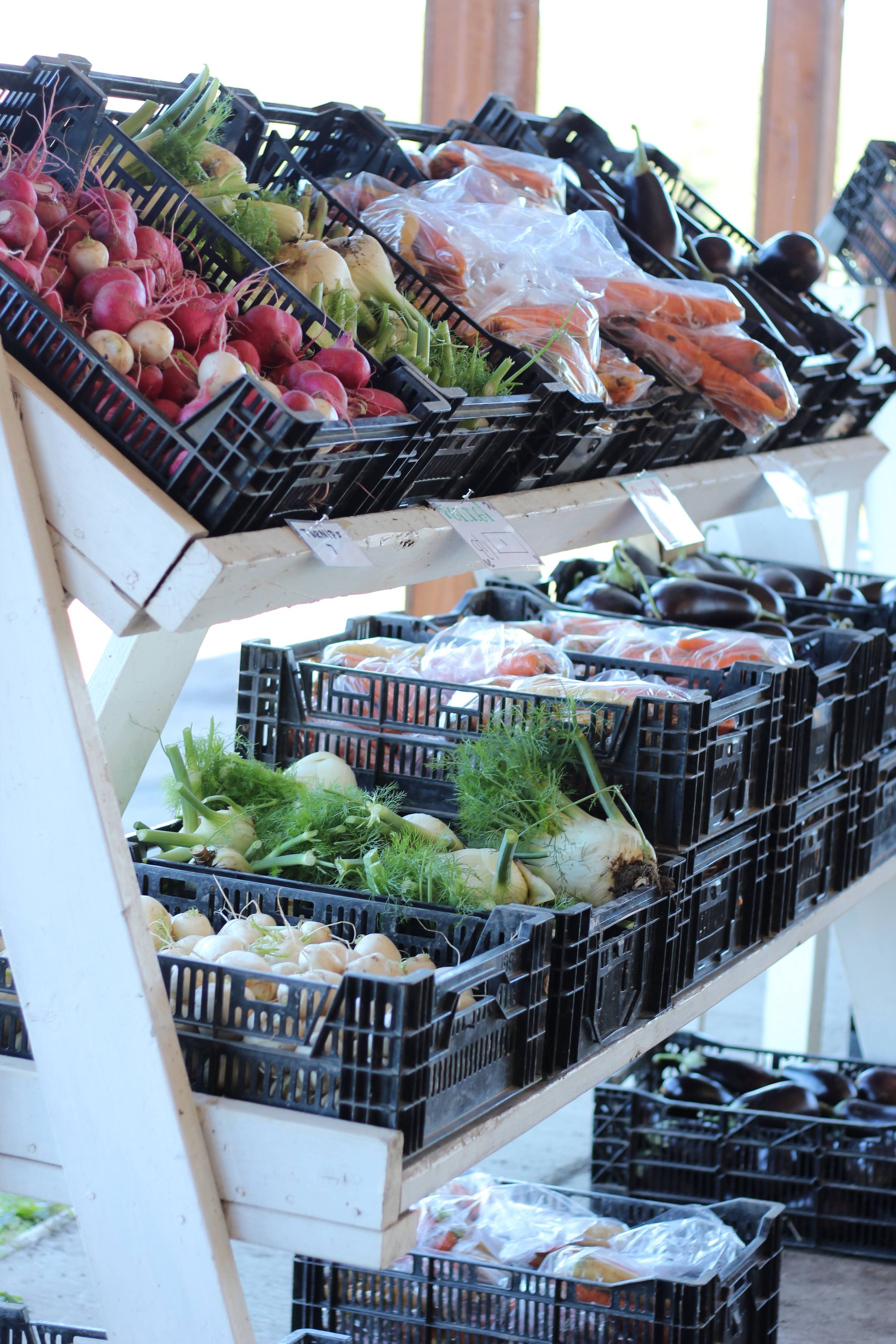 General 5 — Thorpe's Organic Family Farm