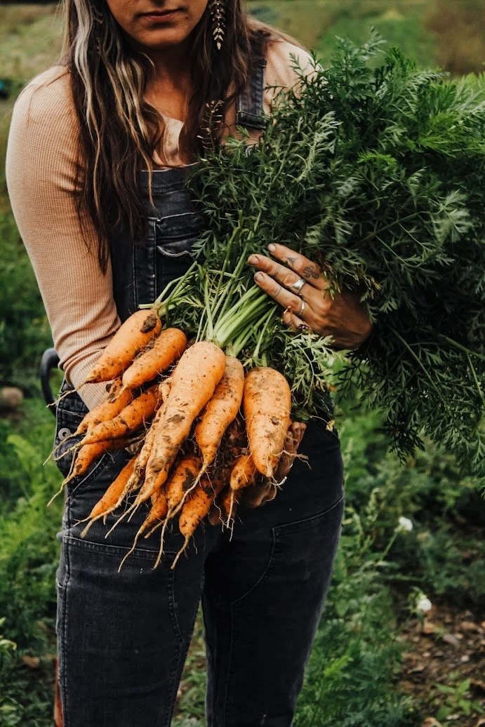 Thorpe's Organic Family Farm