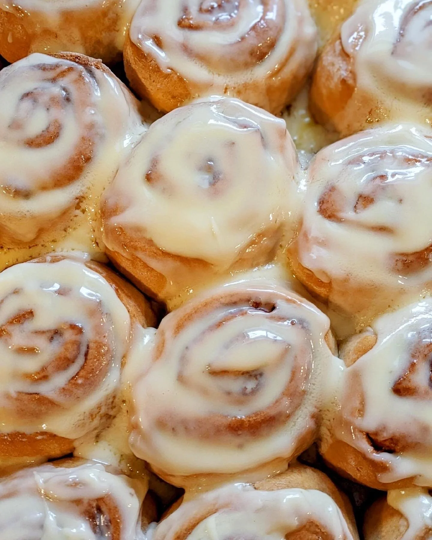 Spelt Cinnamon Rolls (bake at home)