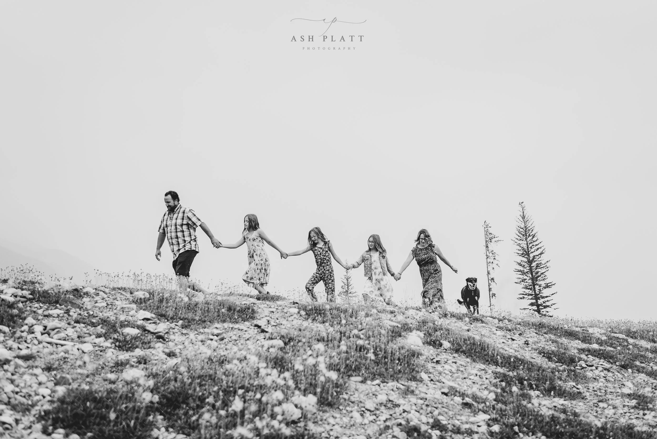 DSC_1962-Edit copy.jpg