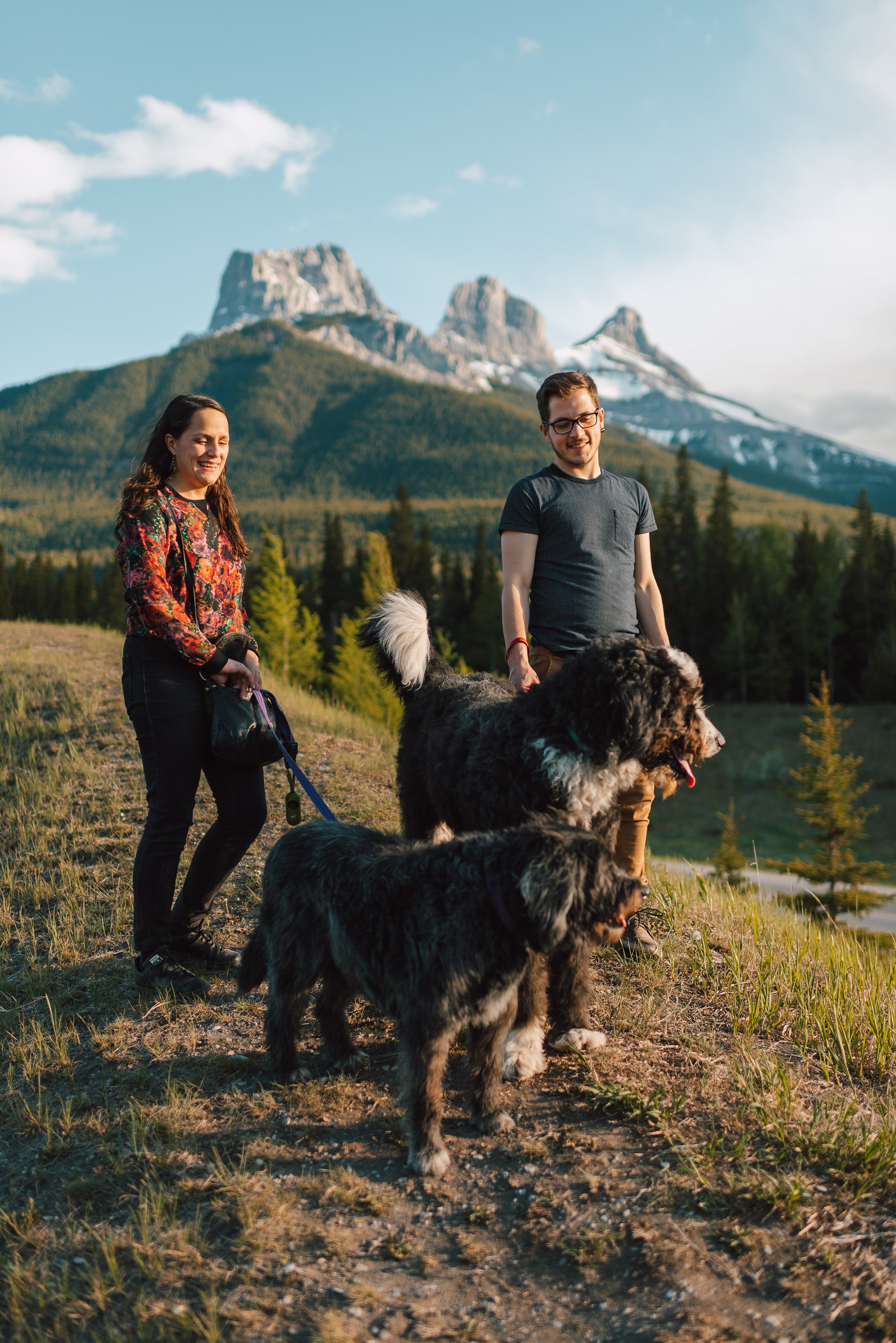 dogs in the mountains, family photo