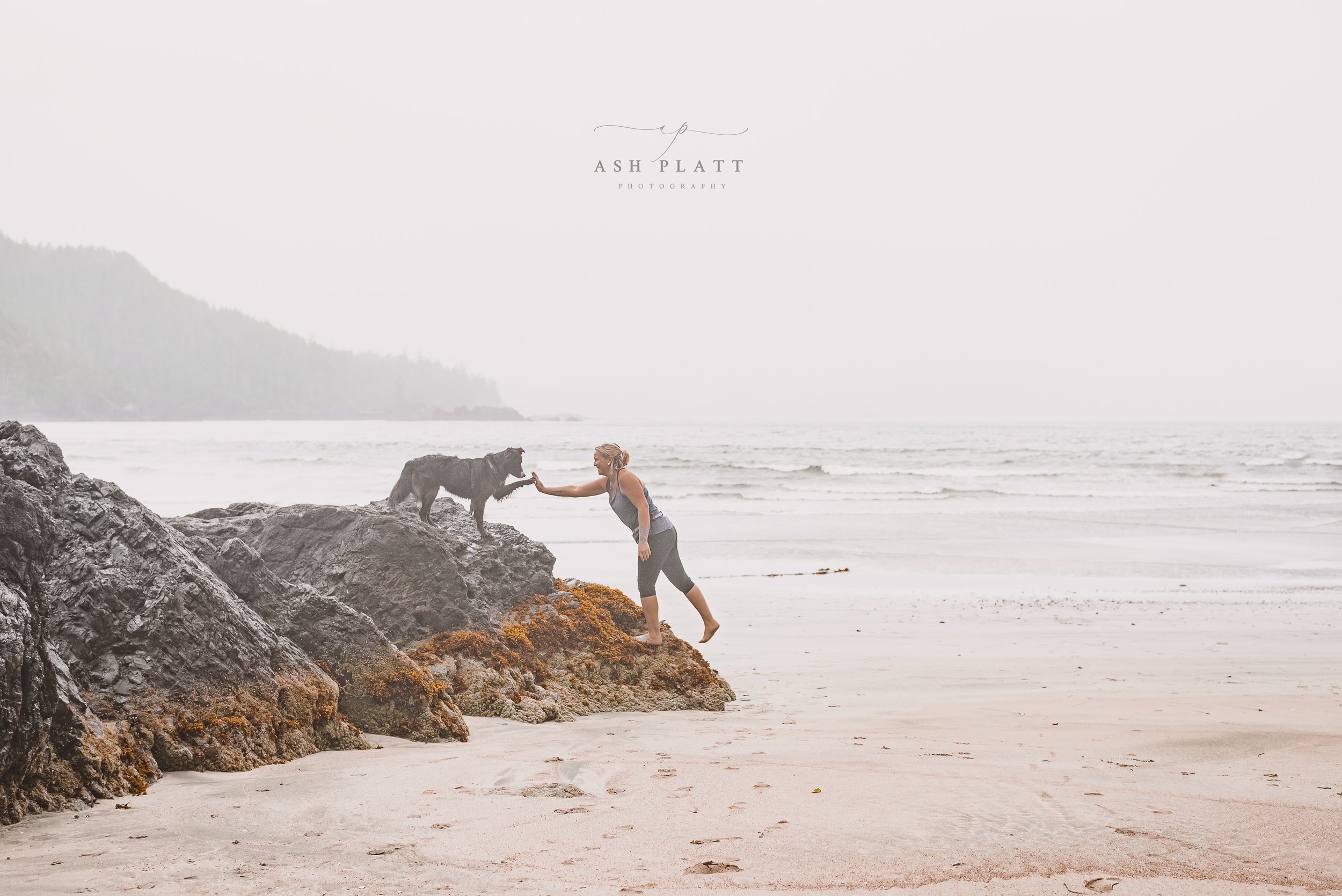 Woman encouraging a dog on rocks at the beach with ocean in background and overcast sky.