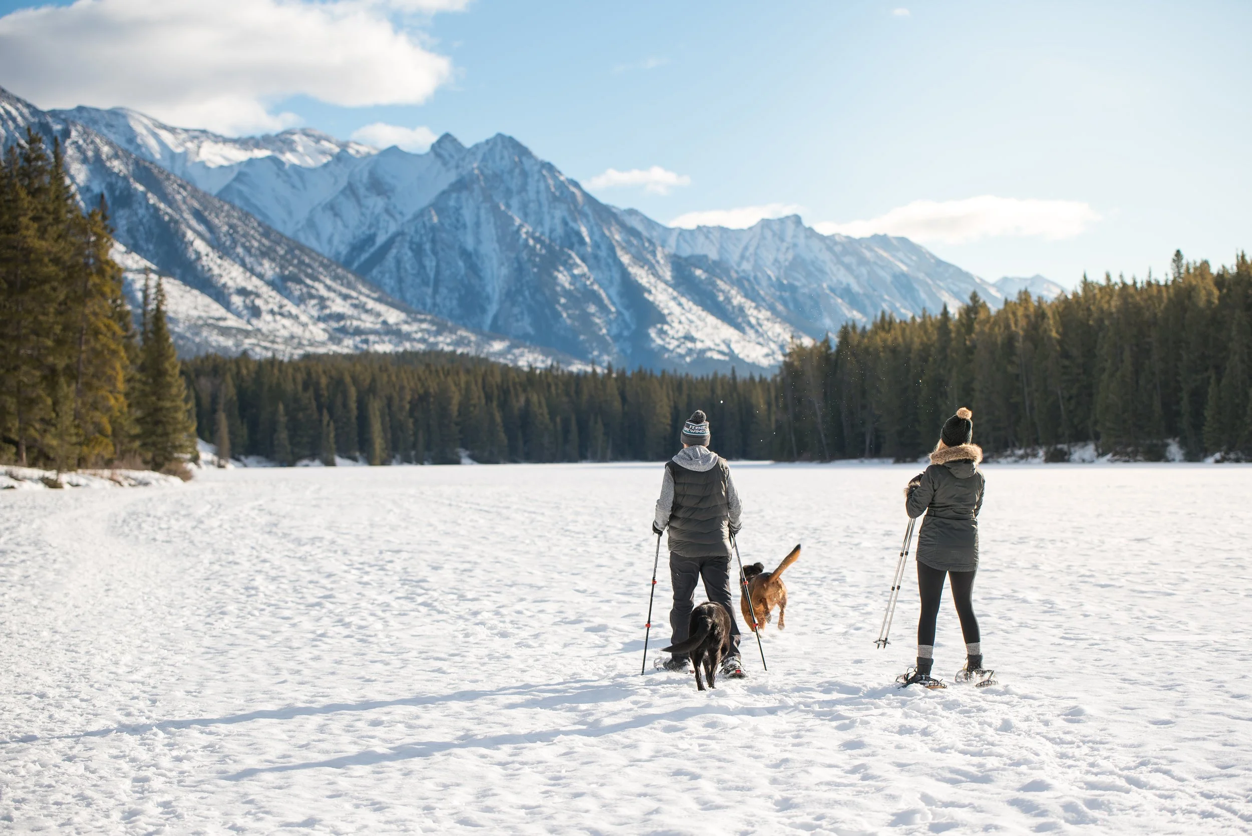 Two people, each holding ski poles and wearing winter jackets, snowshoes, and hats, are snowshoeing across a snow-covered lake with their dogs. The background features a forest of evergreen trees and snow-capped mountains under a partly cloudy sky.