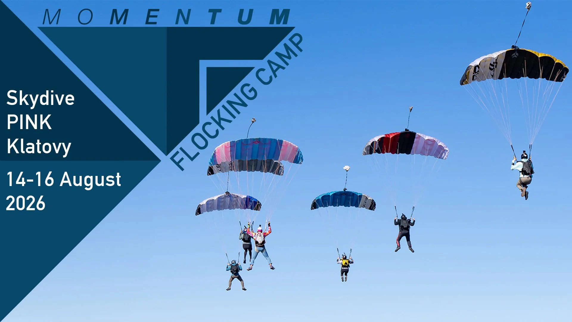 Flocking Camp - Skydive Pink