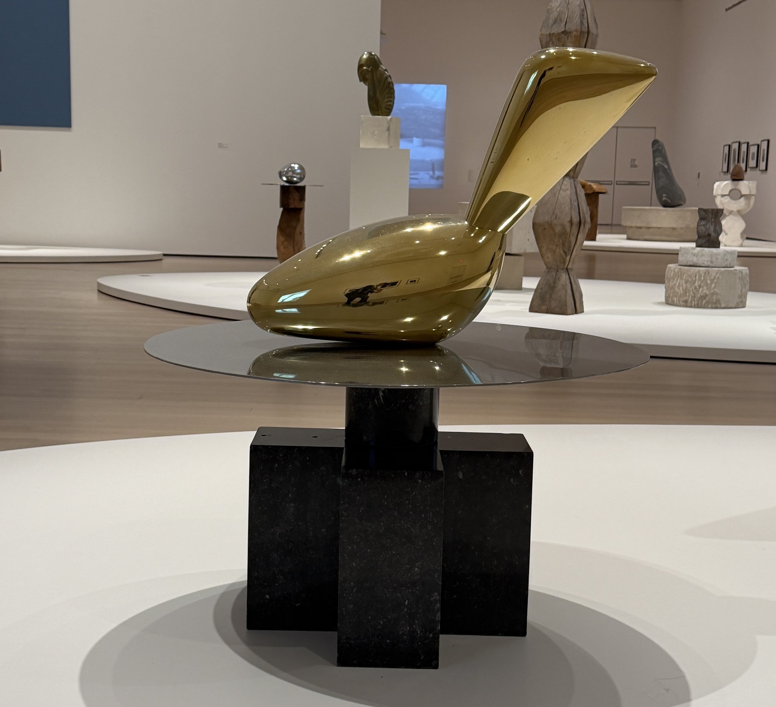 Leda, 1926, Polished bronze on nickel-silver disk, on two-part pedestal of black marble and black granite. Photo: J. Scott Orr