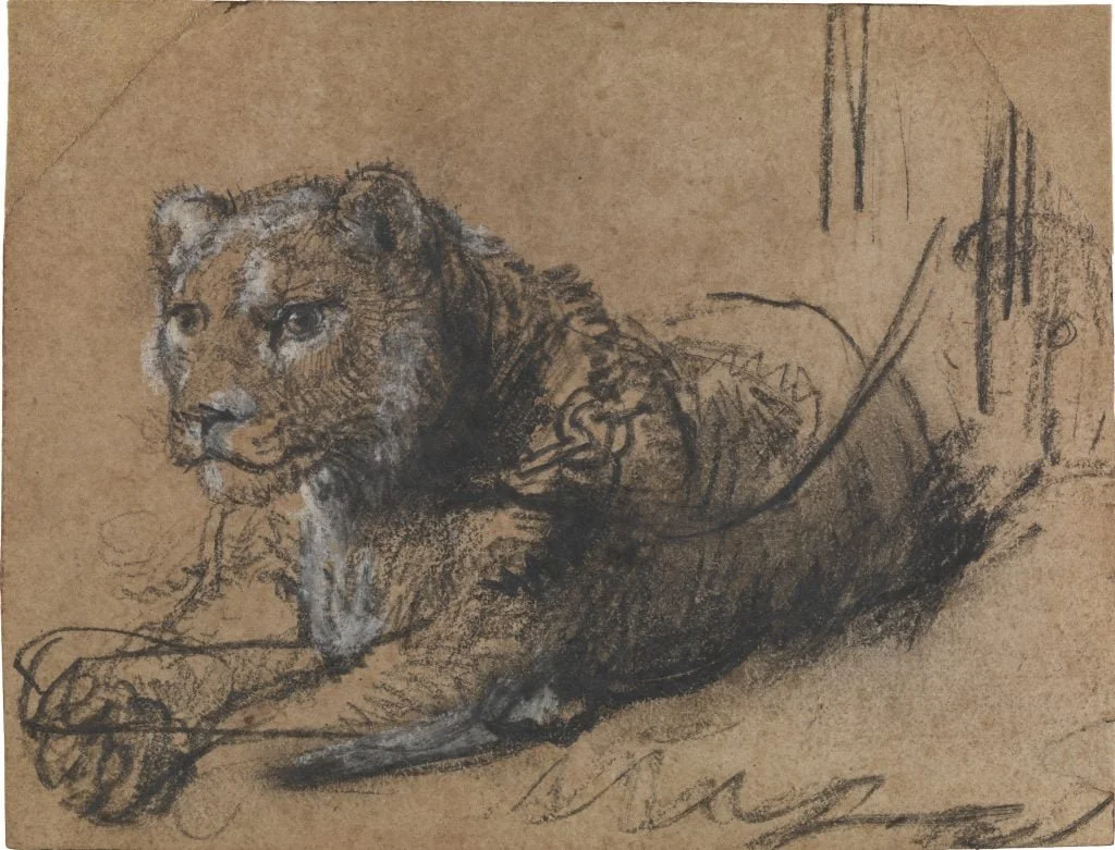 When Rembrandt Went Lion Hunting