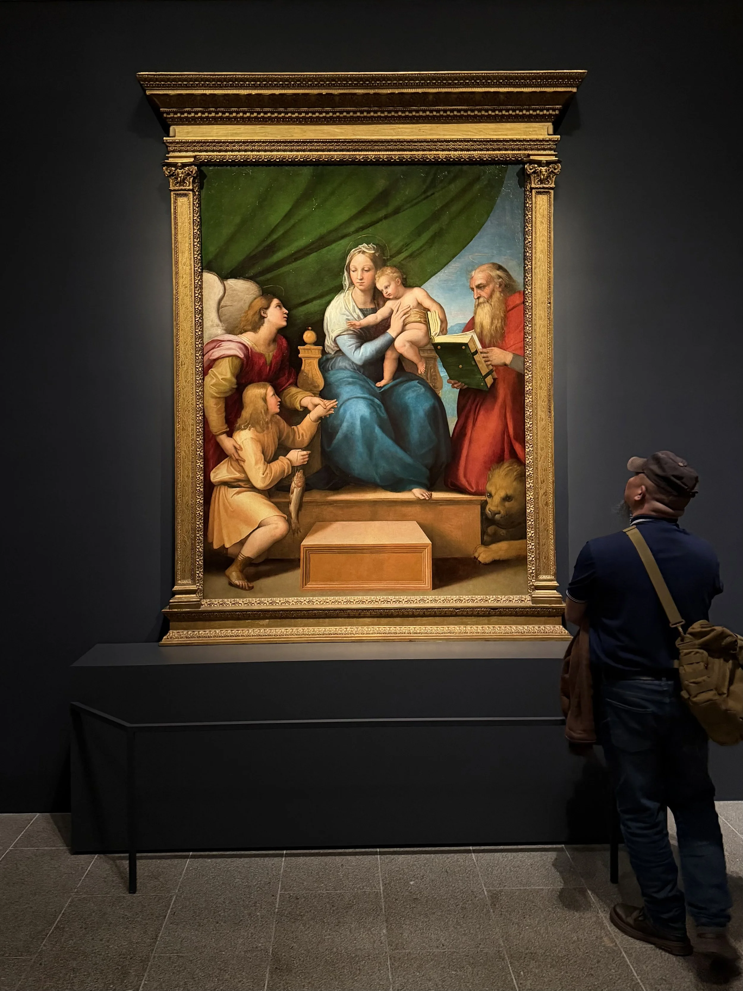 The Virgin and Child with Raphael, Tobias, and Saint Jerome (The Madonna of the Fish, or The Madonna del Pesce), ca. 1512–14 Oil on canvas, transferred from wood.