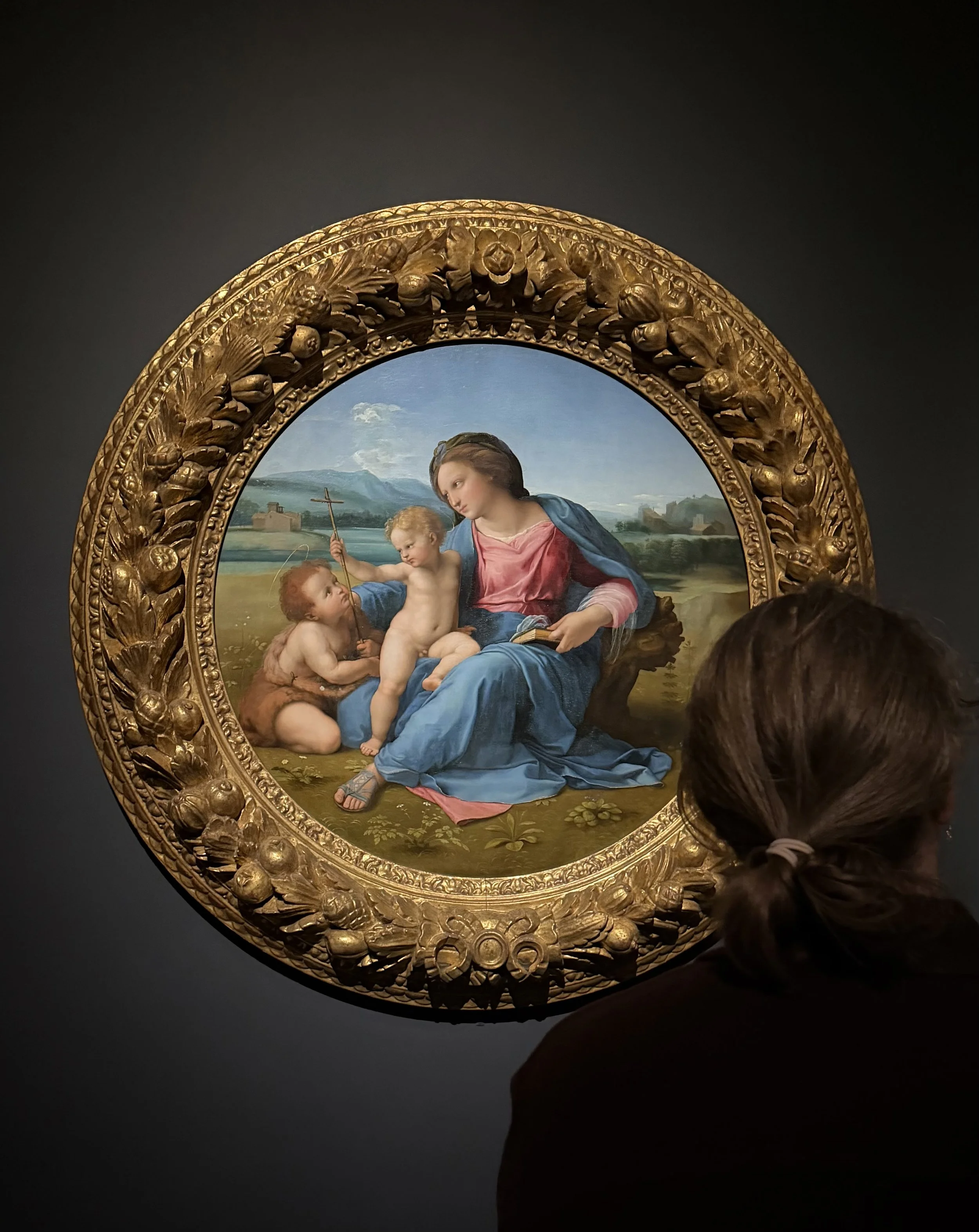 The Virgin and Child with the Infant Saint John the Baptist in a Landscape (The Alba Madonna), ca. 1509–11 Oil on canvas, transferred from wood.
