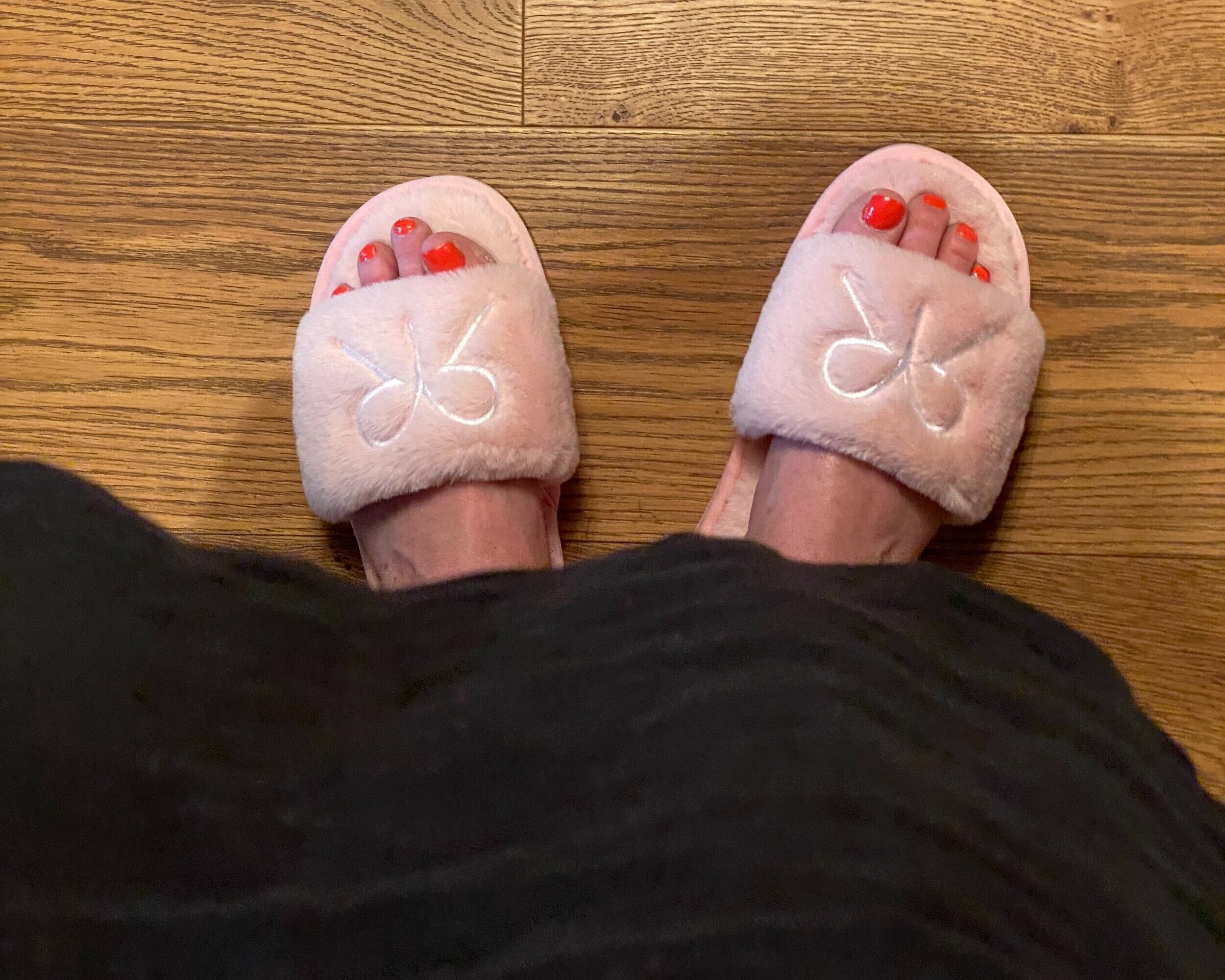 Ruby Ribbon Slippers 2021