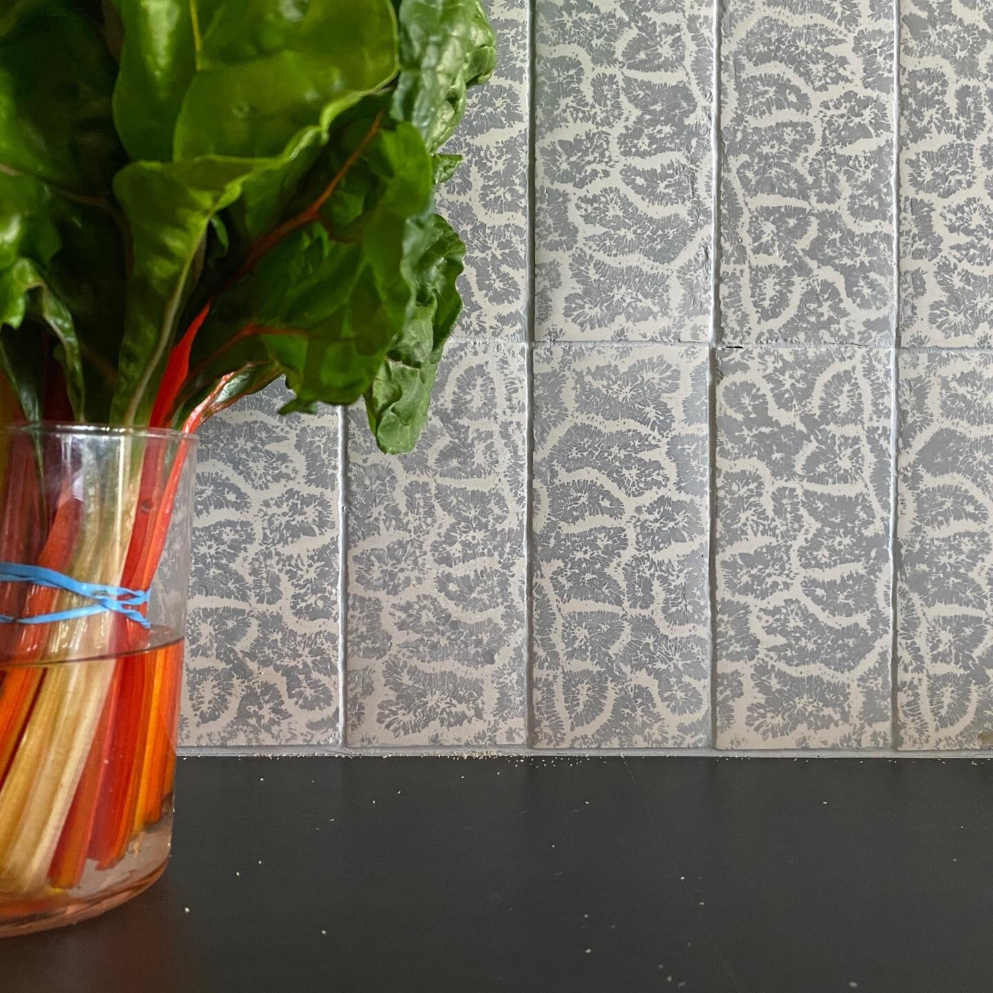 Capture of Interior project. Coral imprinted tile in kitchen. SF pied-&agrave;-terre. Details matter.
.
.
.
.
.
.
#interiordesign #interiorphotography #details #tile #coral #tidepool #kitchen #photoshoot #photography #rainbowchard