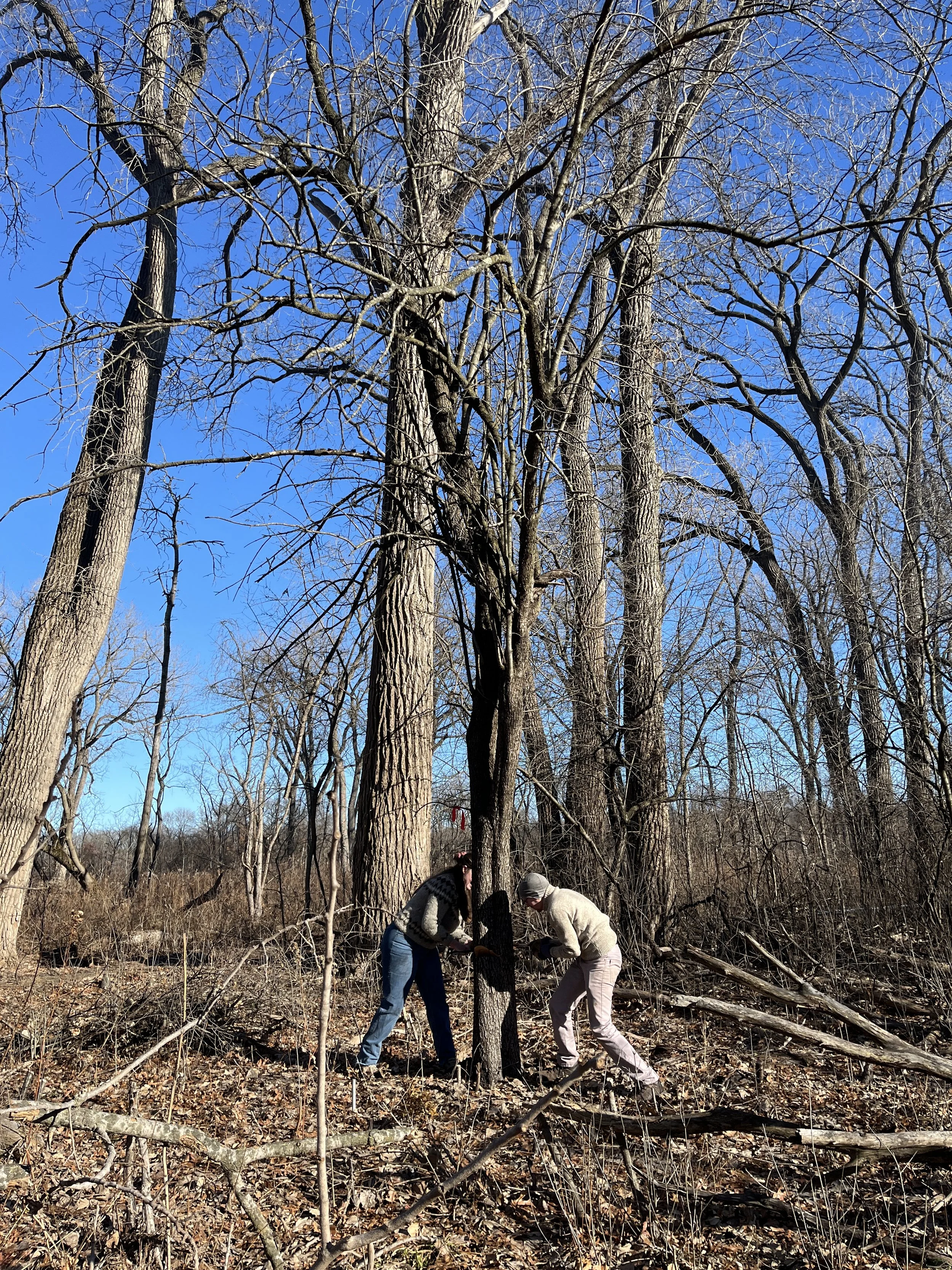 January 10th Volunteer Opportunity 