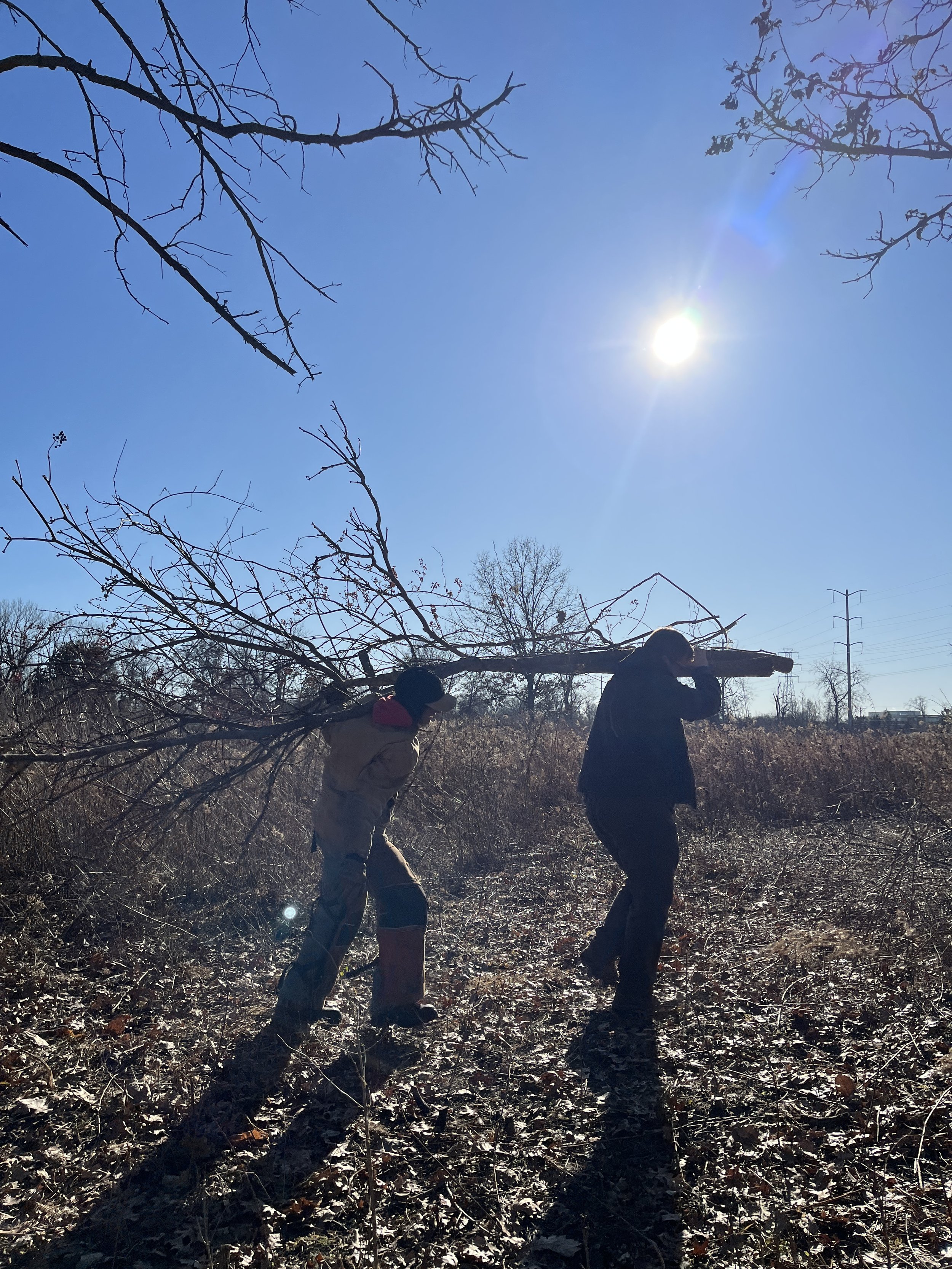 January 31st Volunteer Opportunity 