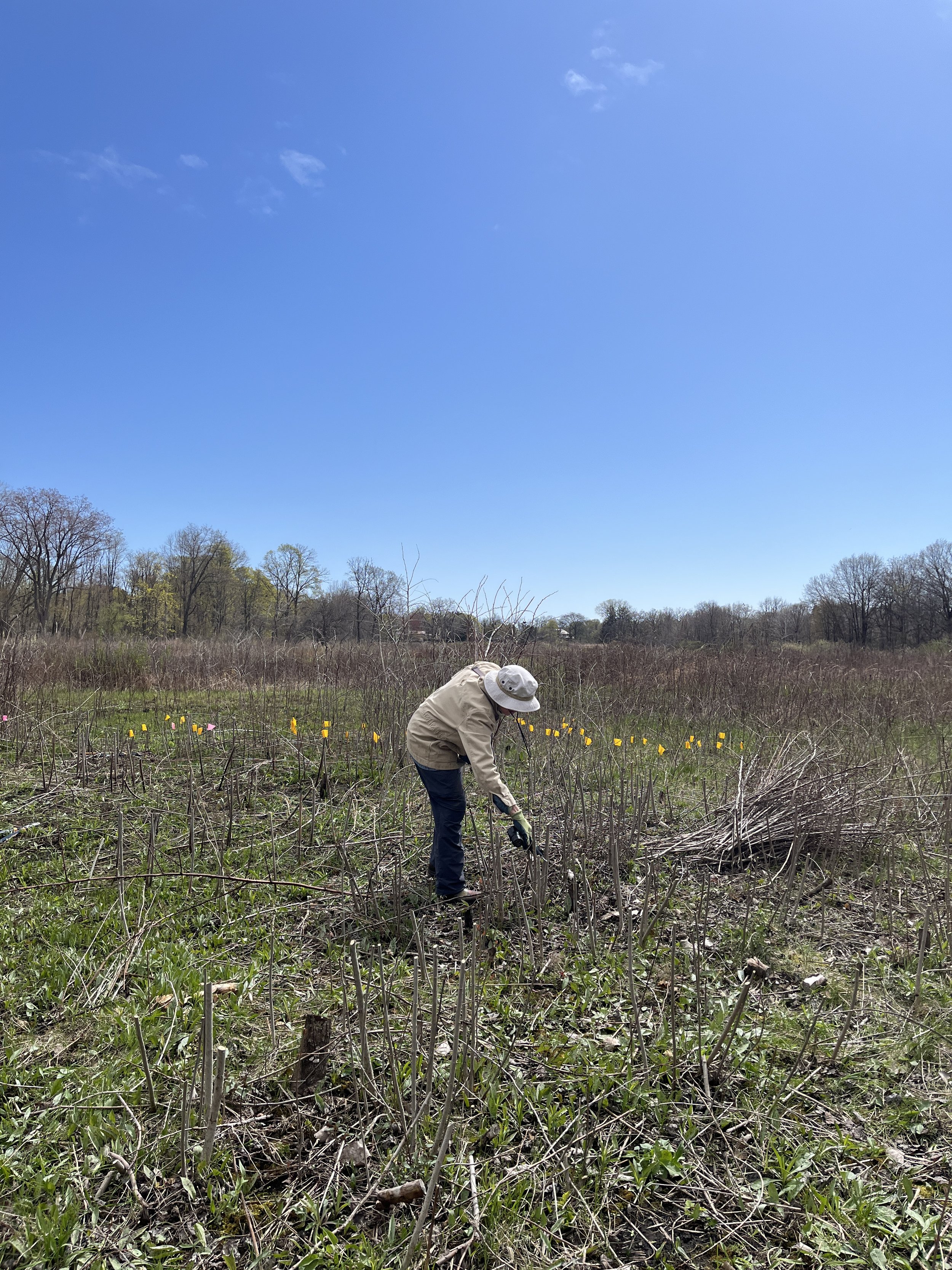 April 11th Volunteer Opportunity 