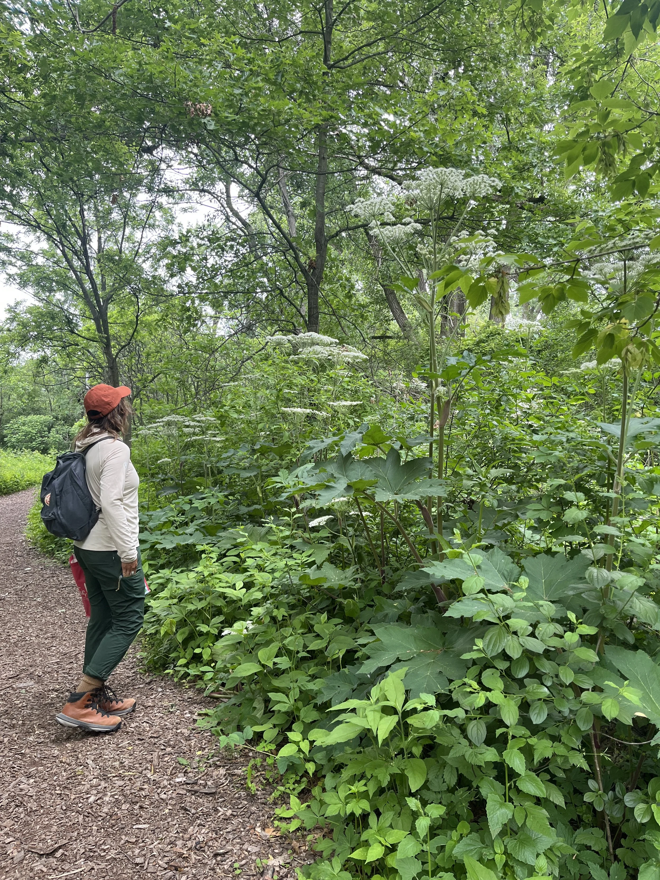 June 13th Volunteer Opportunity 