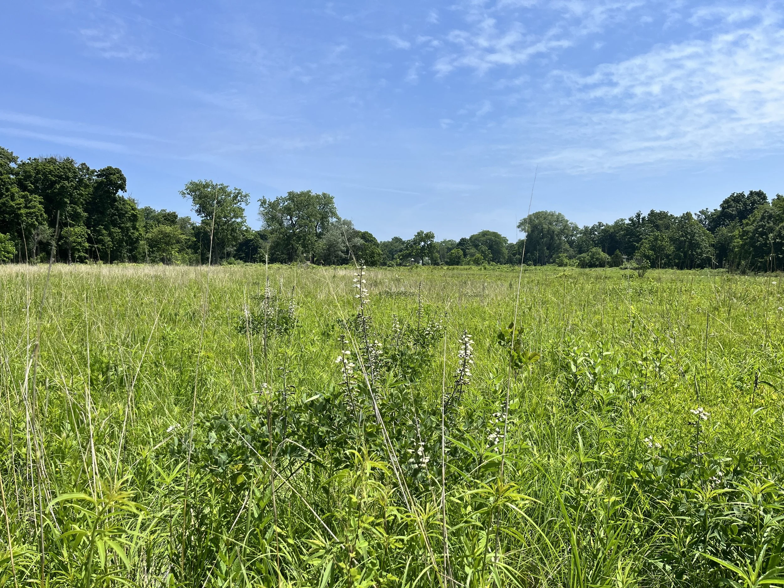 July 11th Volunteer Opportunity