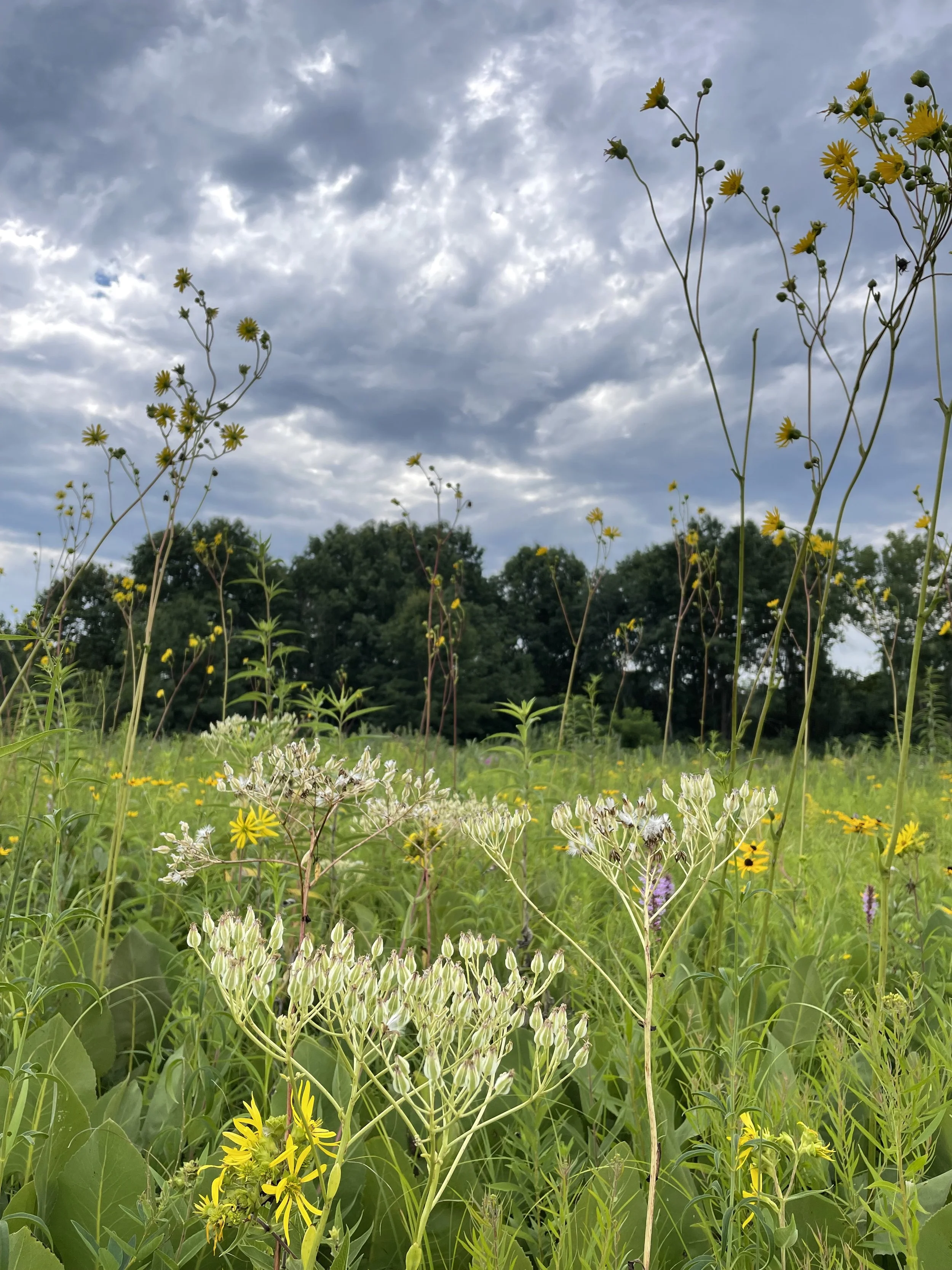 August 22nd Volunteer Opportunity