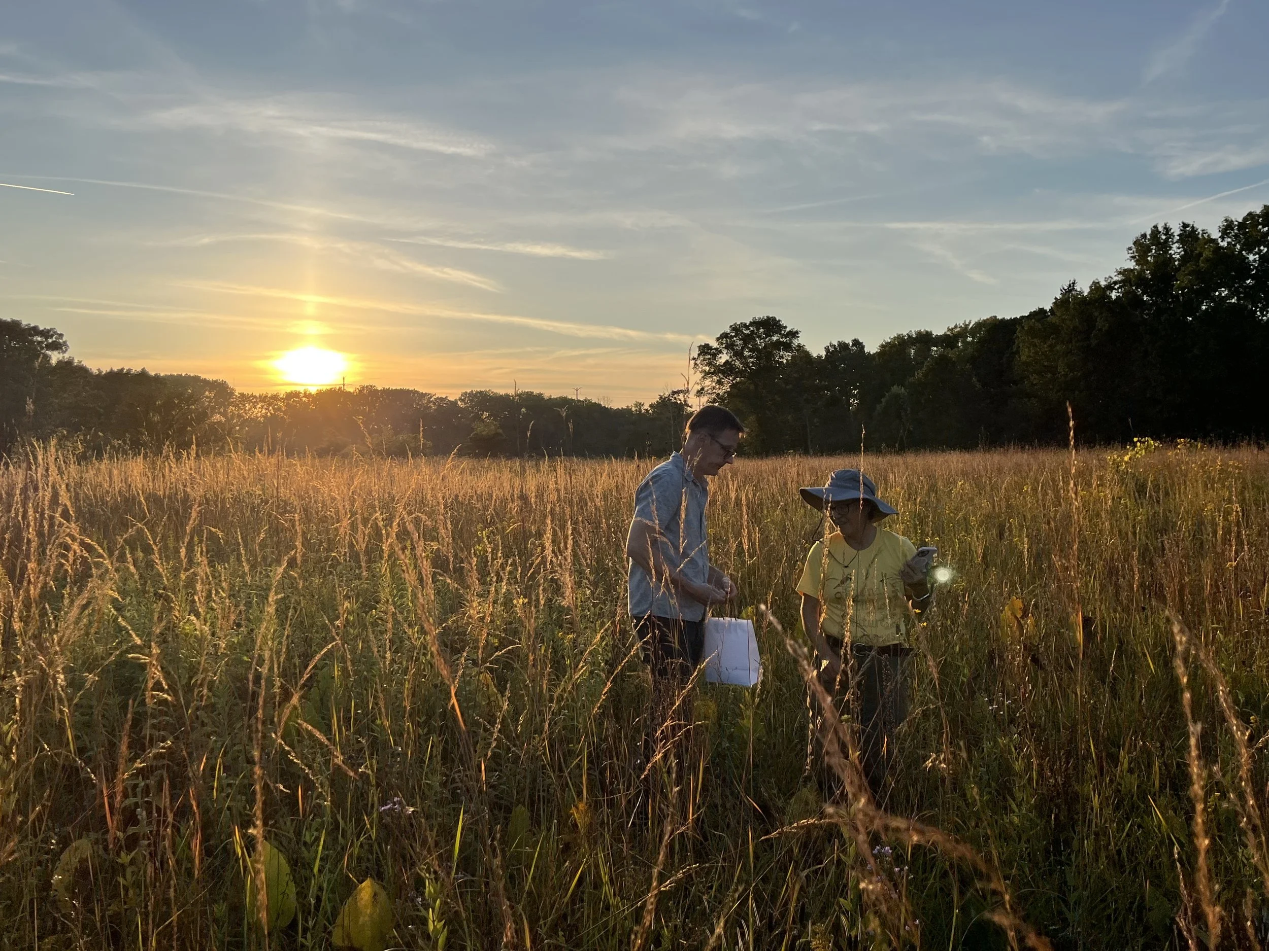 September 16th : Seeds at Sunset 