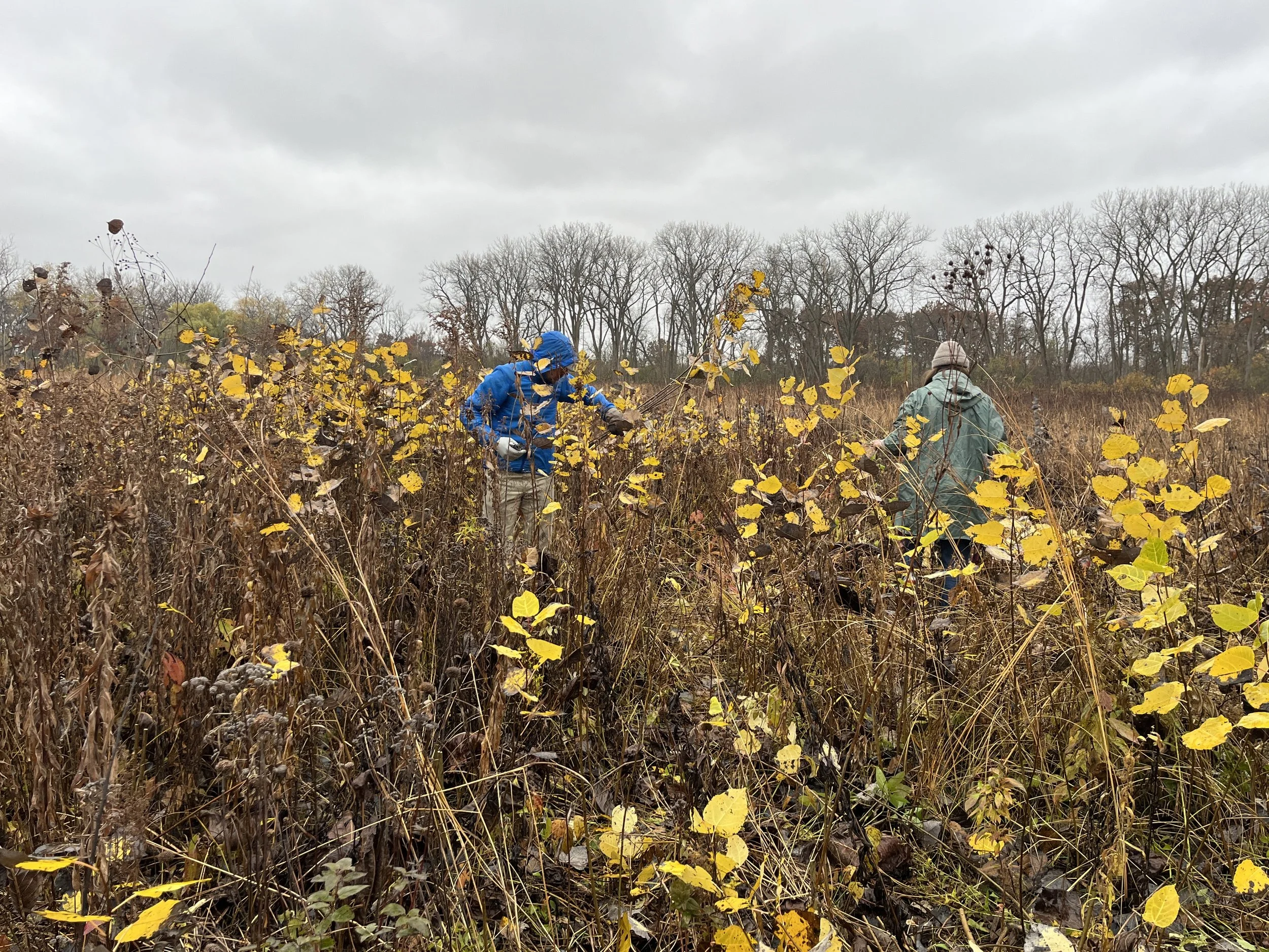 October 24th Volunteer Opportunity 