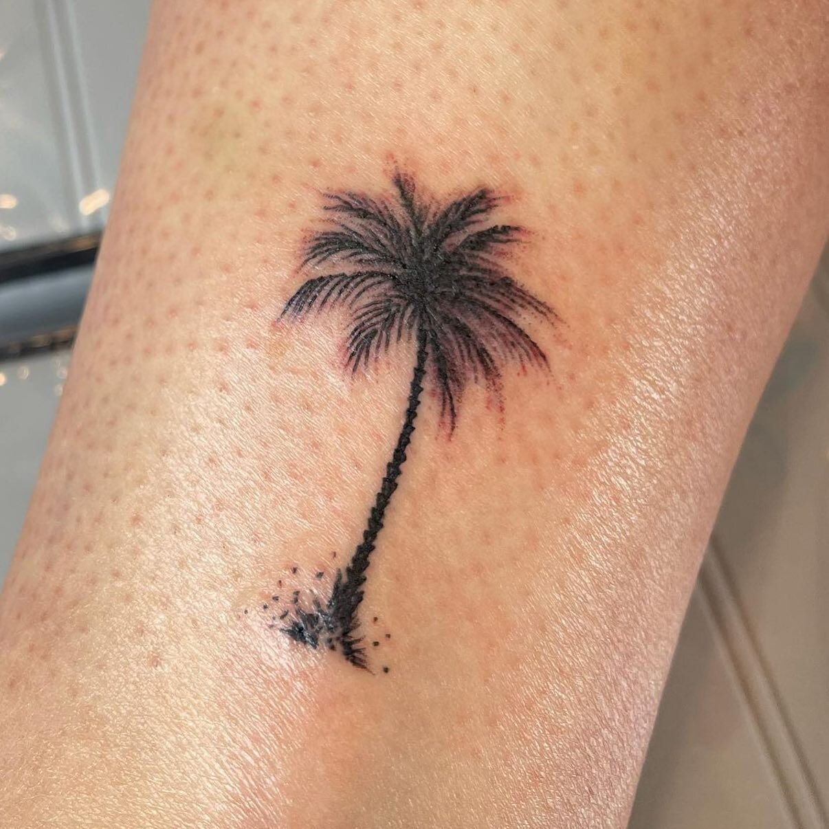 I want to be where the palm trees are 🌴

Artist @ramonpmedeiros