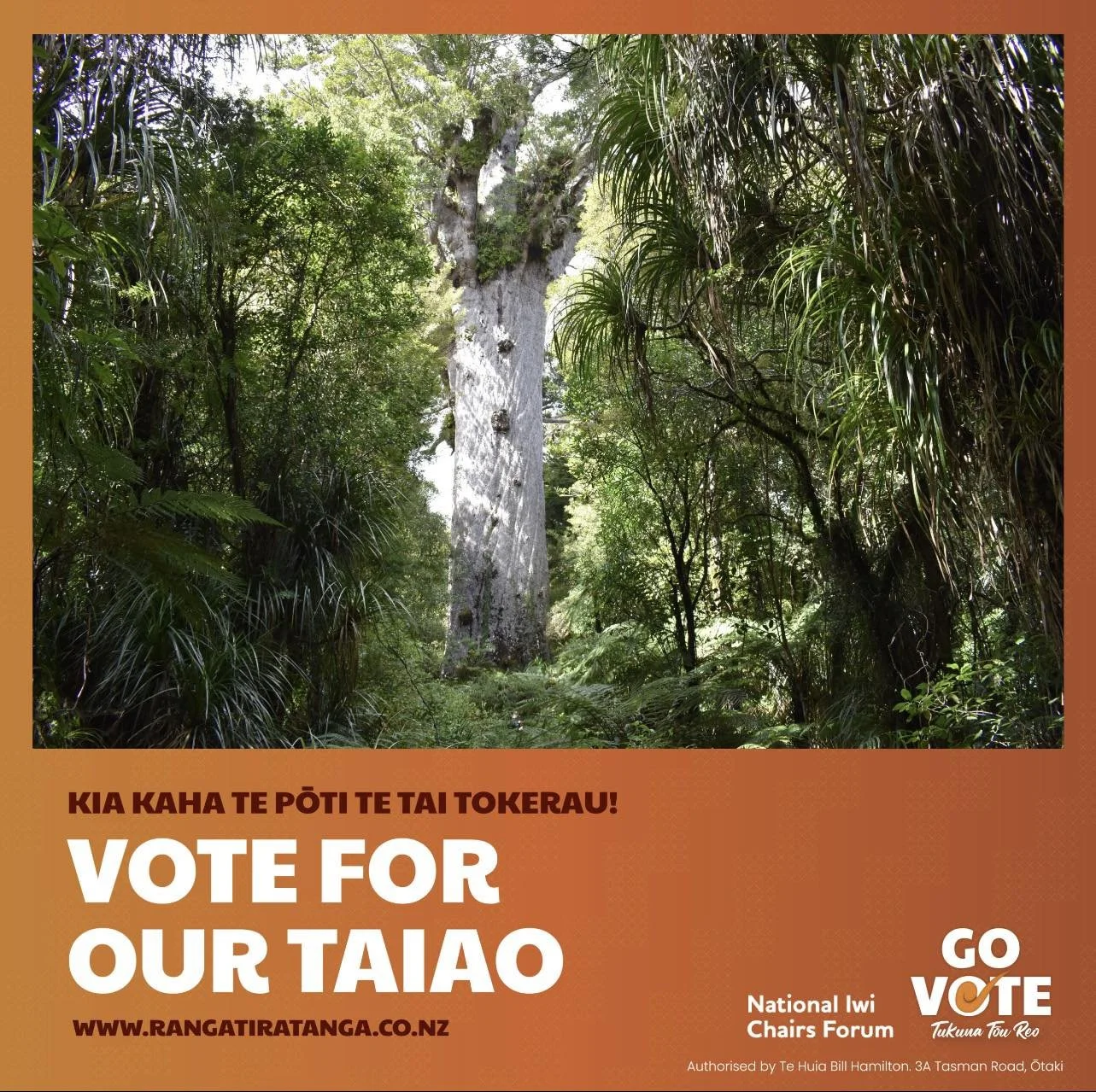 for our environment