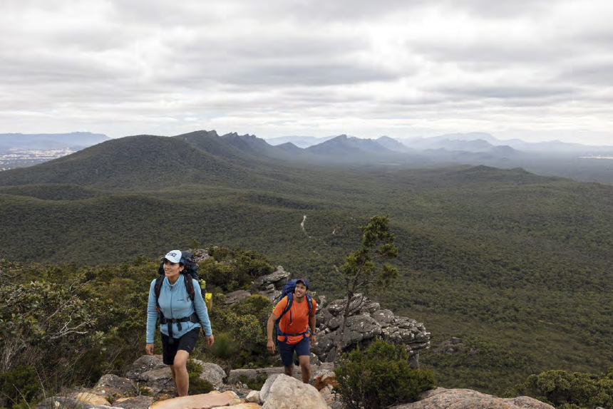 Screenshot 2026-03-08 at 3.30.10 pm.png