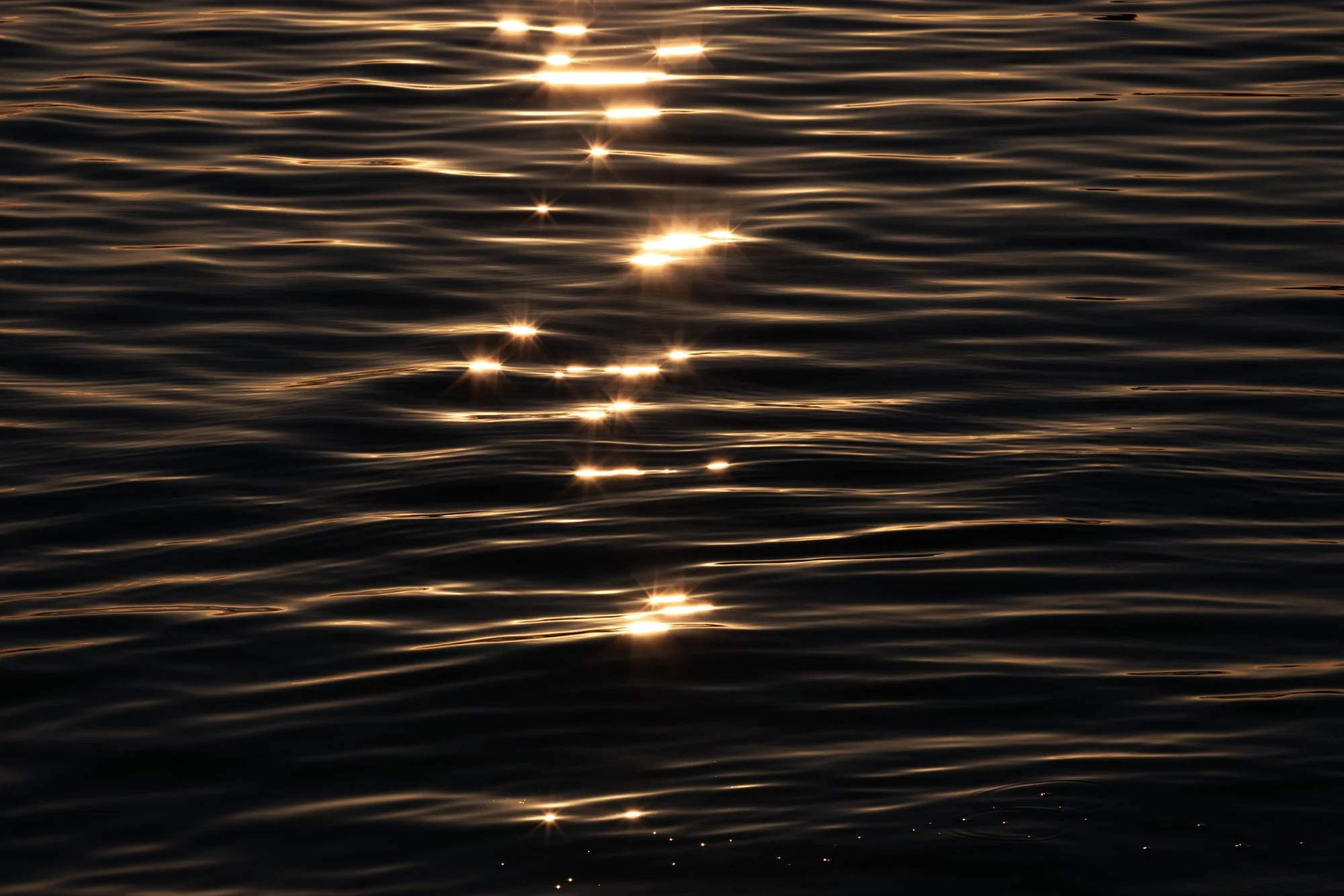 VanZanen_B_223553 30Nov1K1A9269.jpg