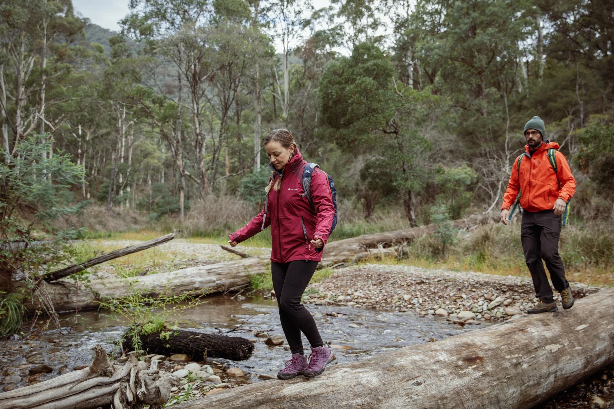 Parks Victoria Alpine National Park 053A5816.jpg