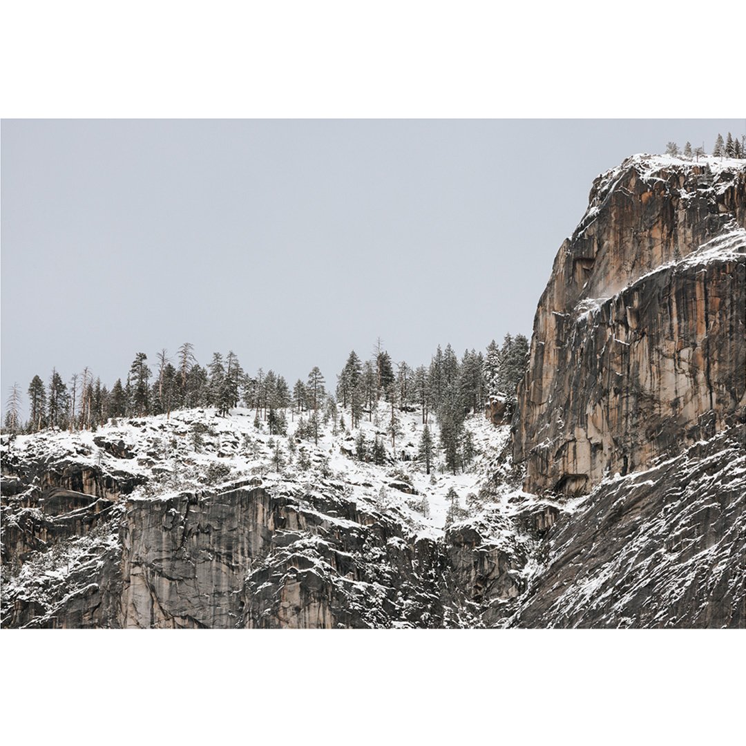Wood and Stone, Yosemite