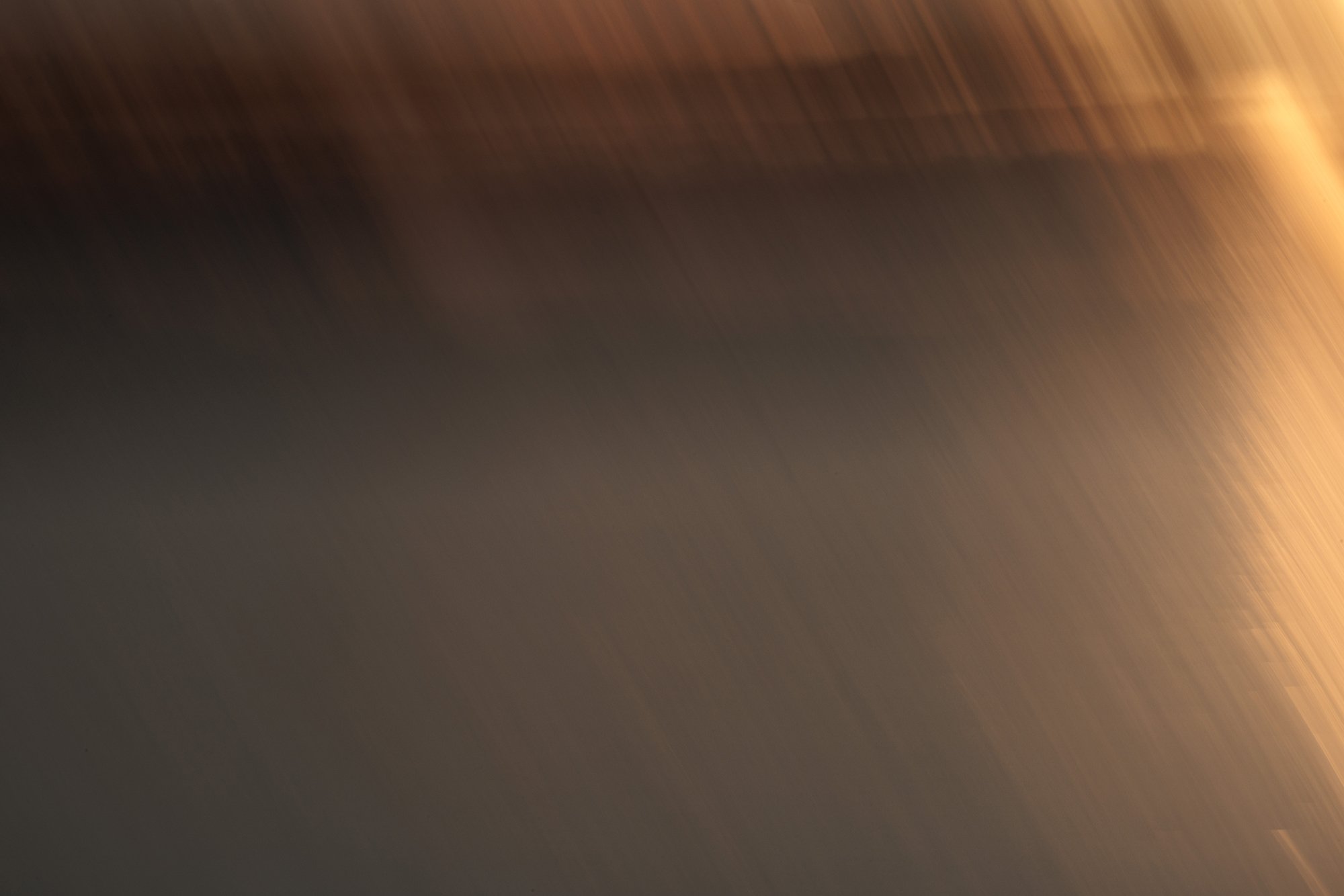 VanZanen_B_223553 1K1A9322.jpg