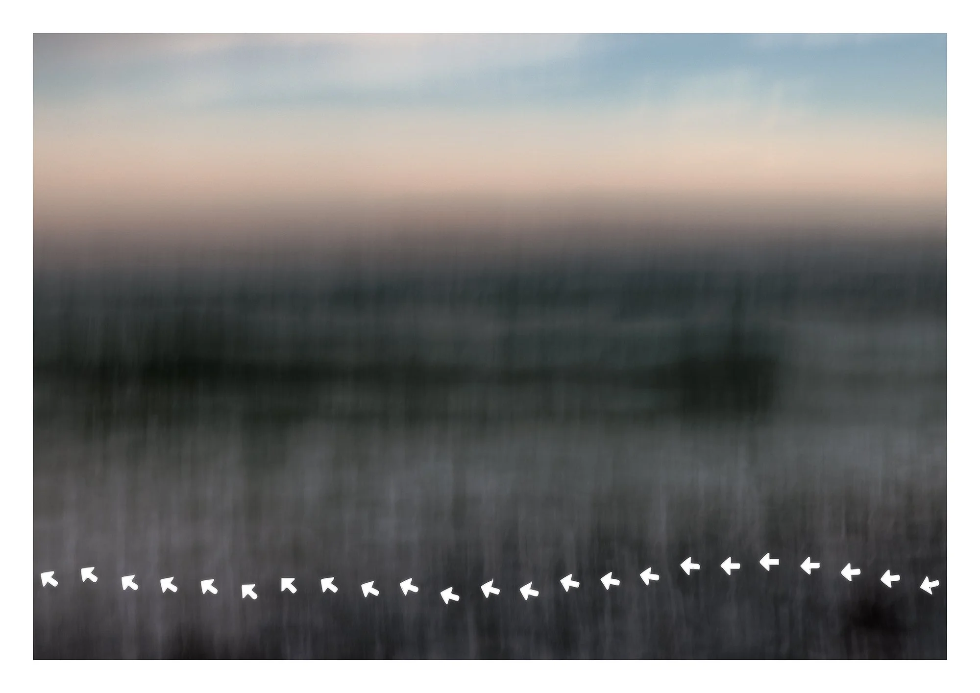 VanZanen_B_223553 wind 27Nov25 1K1A9153.jpg