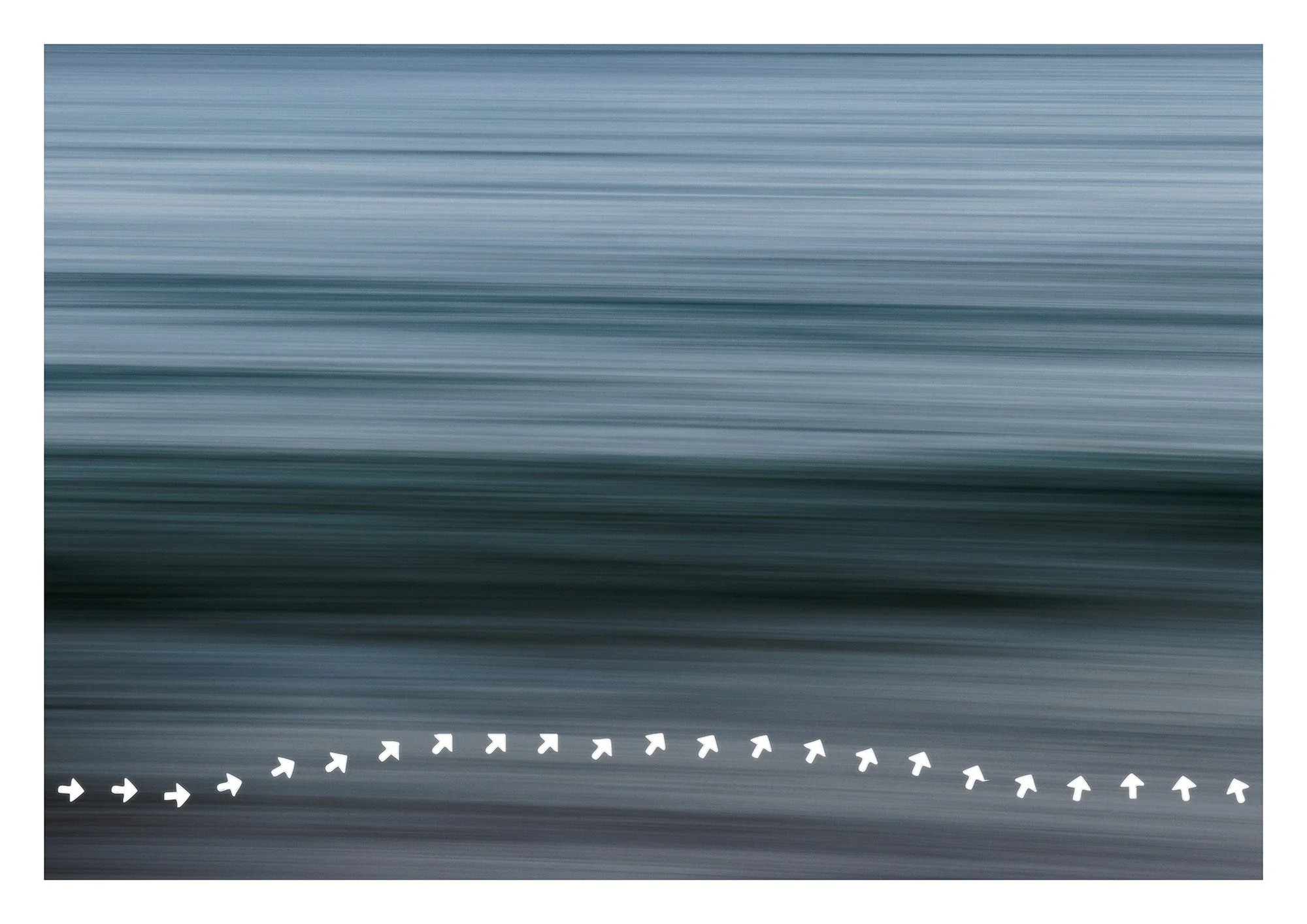 VanZanen_B_223553 Wind 18Nov25 1K1A9044.jpg