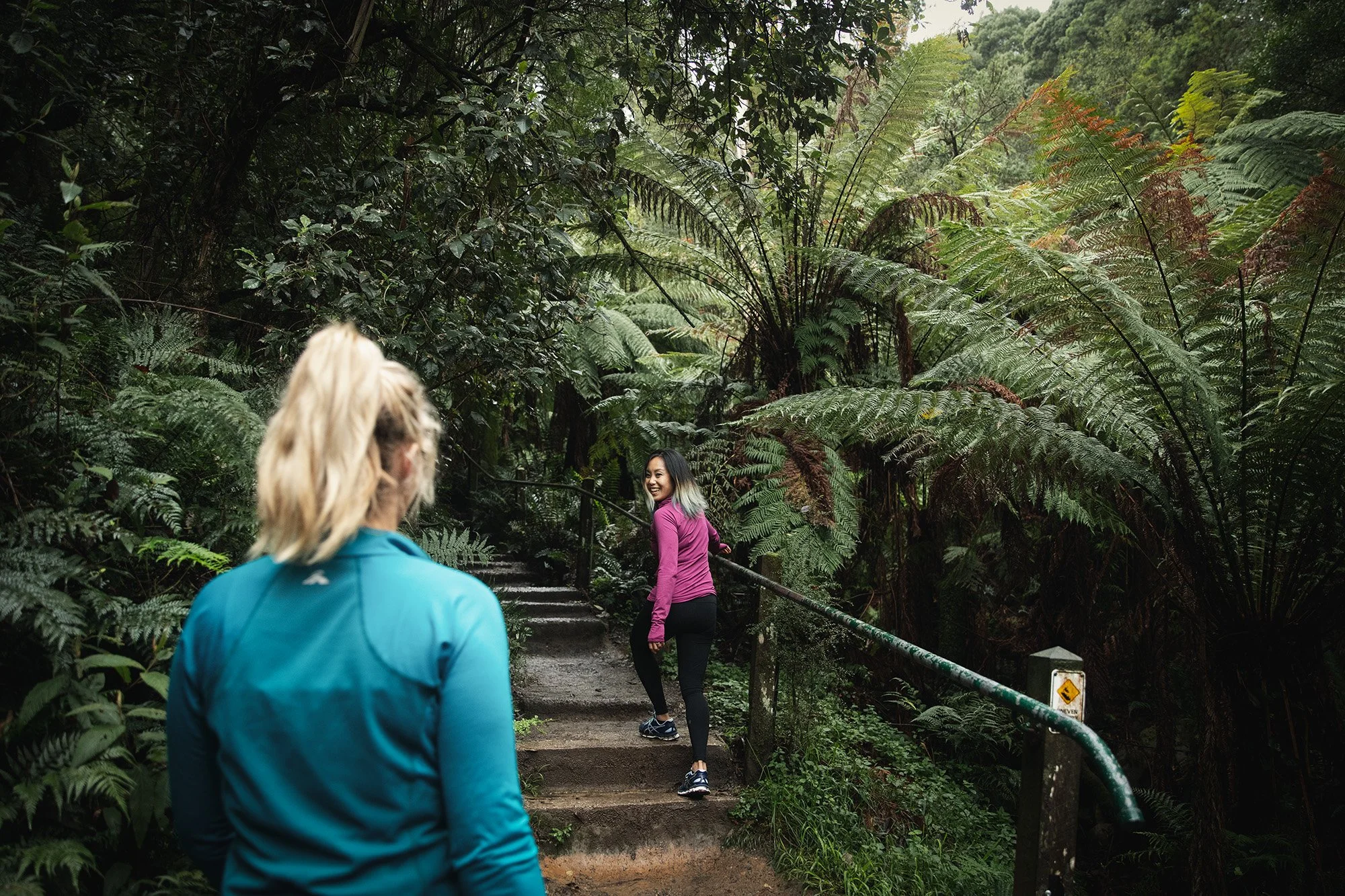 Parks Victoria Dandenong Ranges 053A3060.jpg