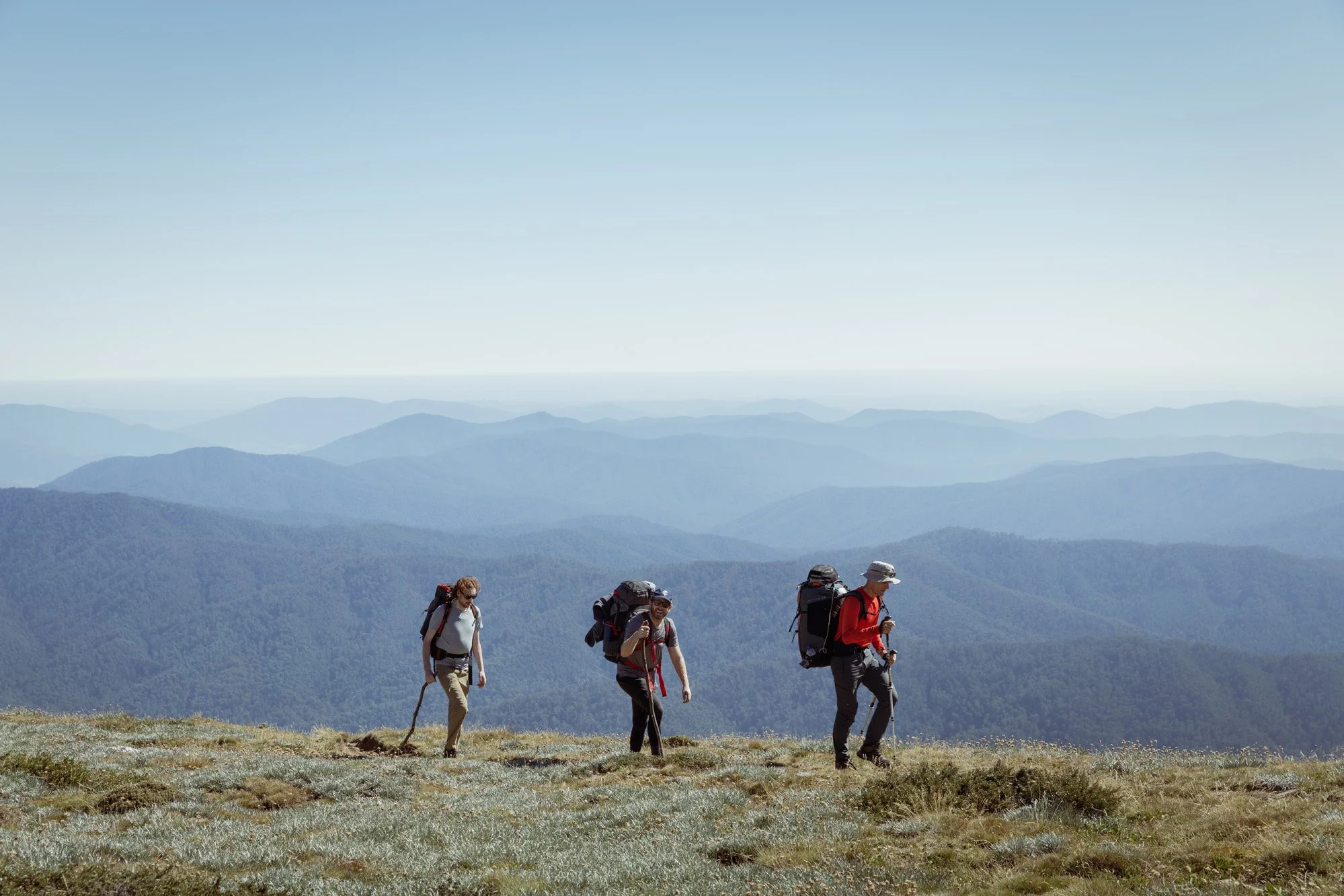 Parks Victoria Alpine National Park 053A6486.jpg