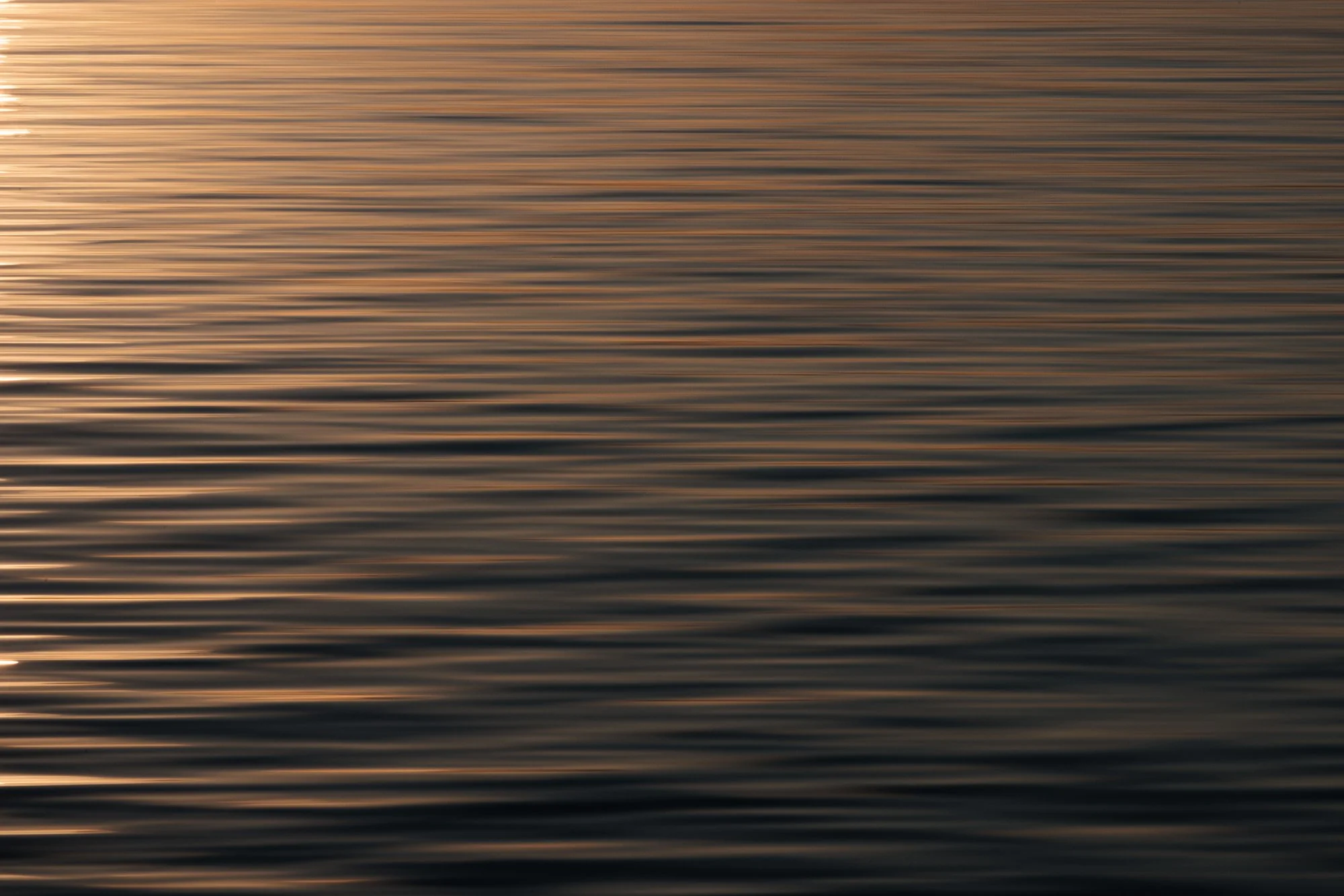 VanZanen_B_223553 1K1A9298.jpg