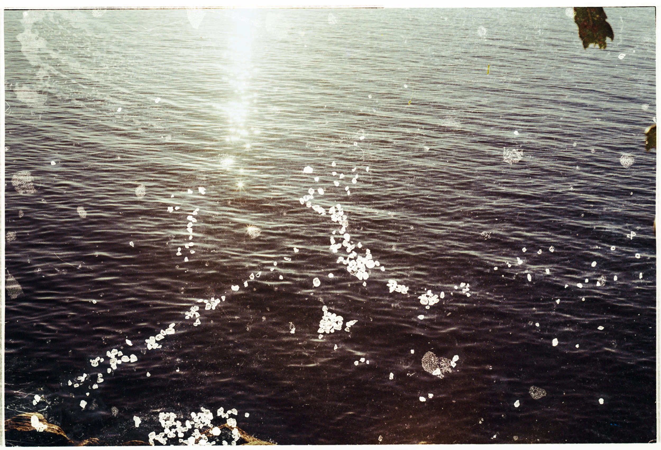Sunlight reflecting on a body of water with ice chunks floating on the surface, and some branches in the upper right corner.