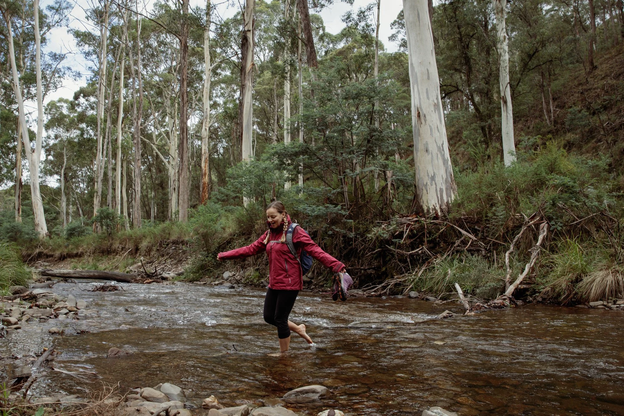 Parks Victoria Alpine National Park 053A5902.jpg