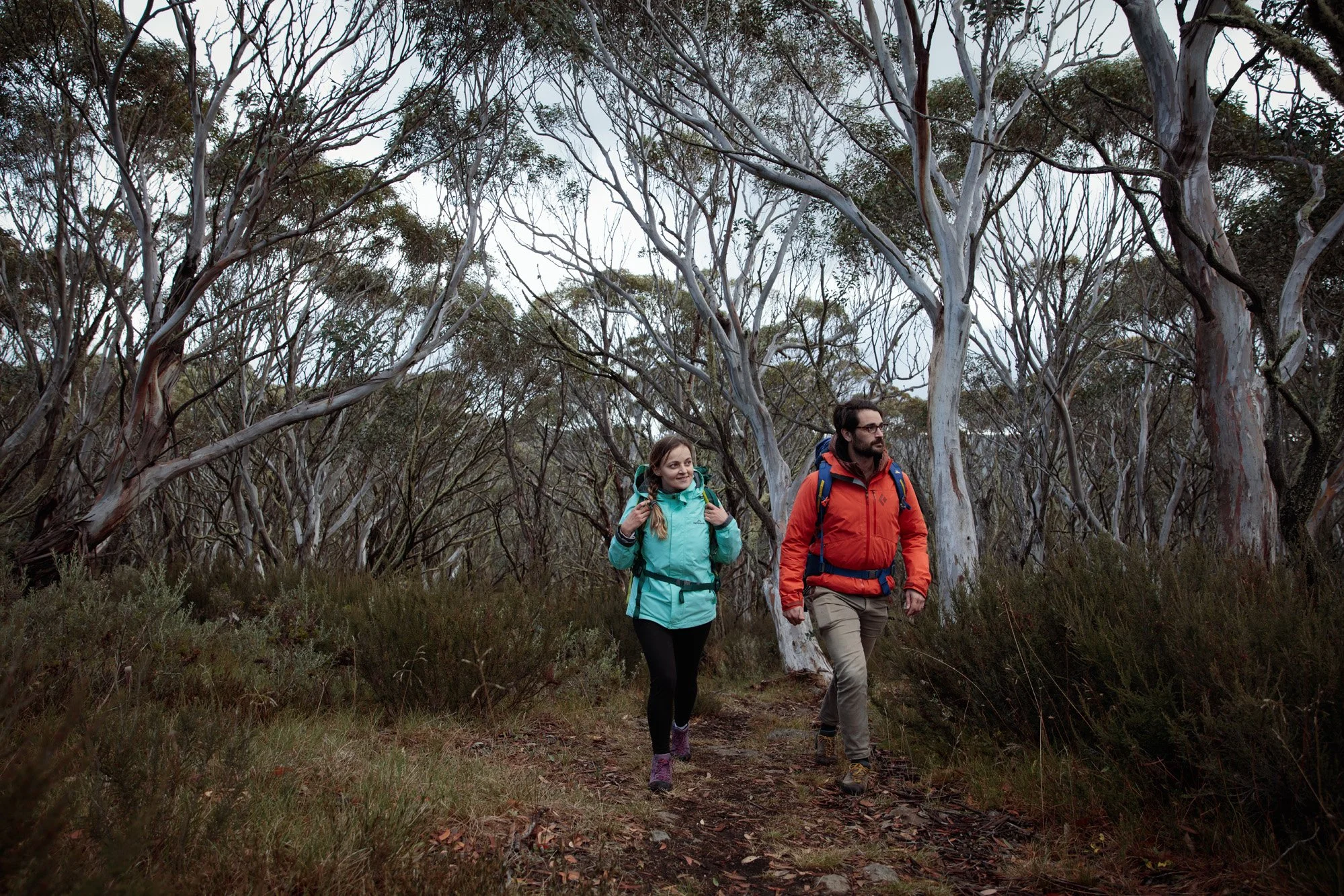 Parks Victoria Alpine National Park 053A5676.jpg