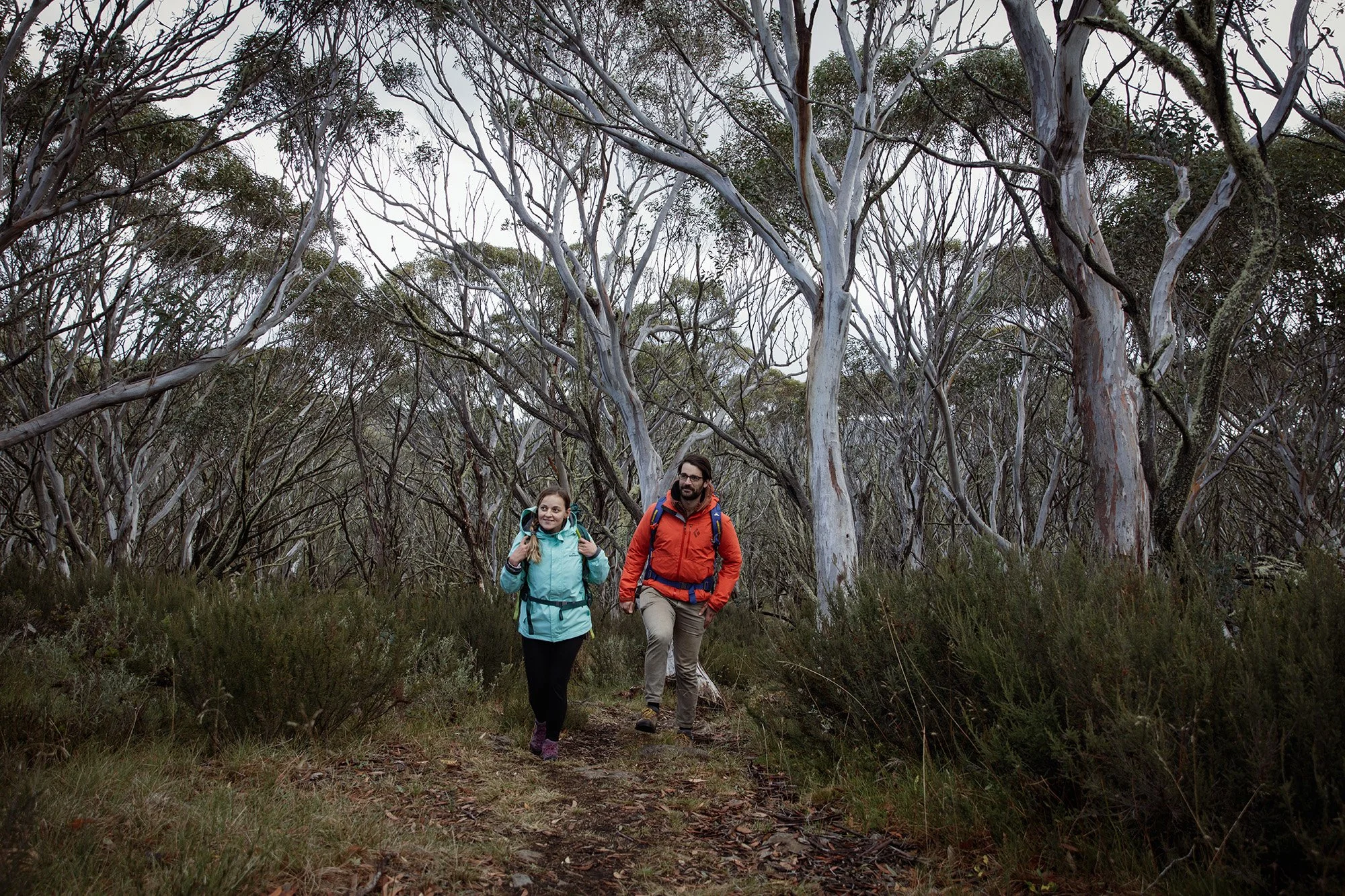 Parks Victoria Alpine National Park 053A5672.jpg