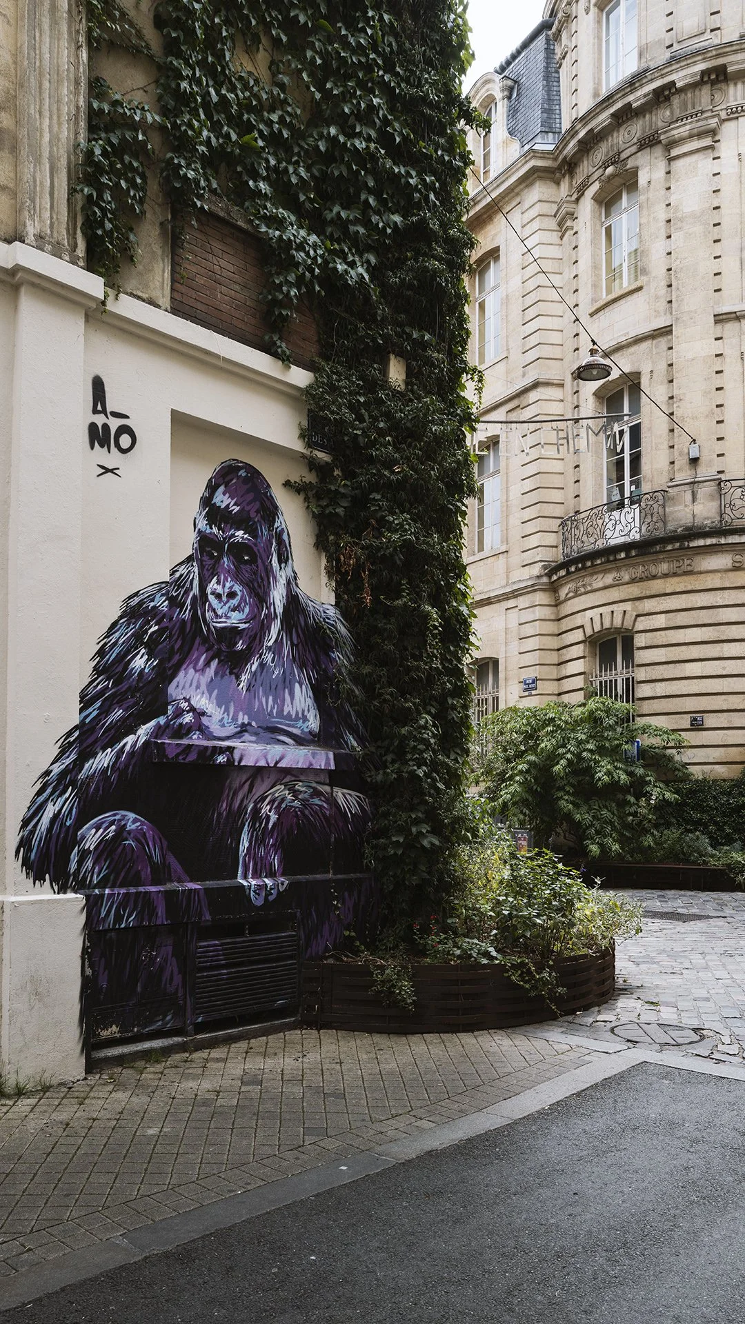 Bordeaux L1003537.jpg