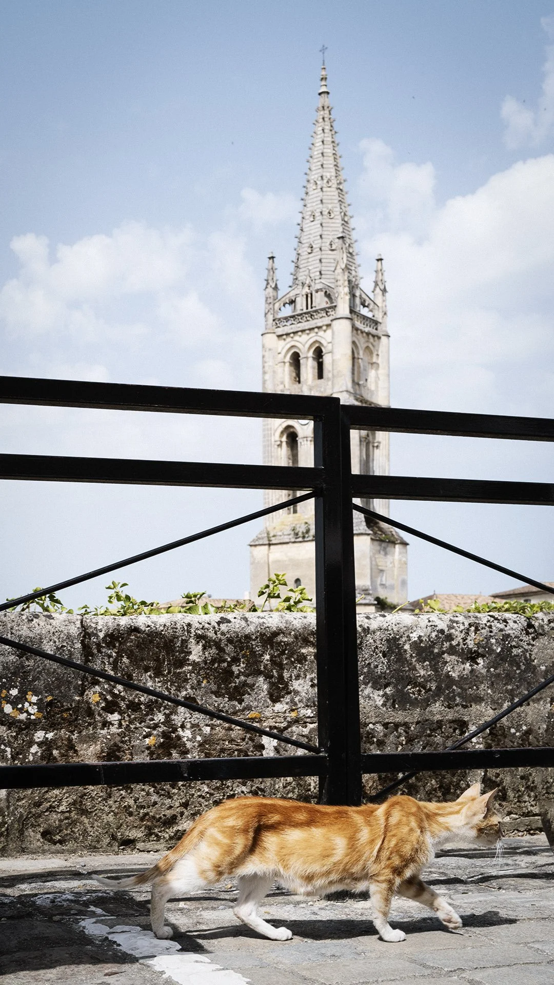 St Emilion L1003622.jpg