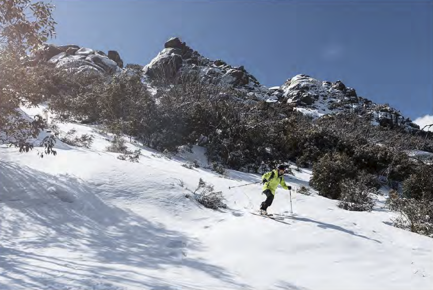 Screenshot 2026-03-08 at 3.30.01 pm.png