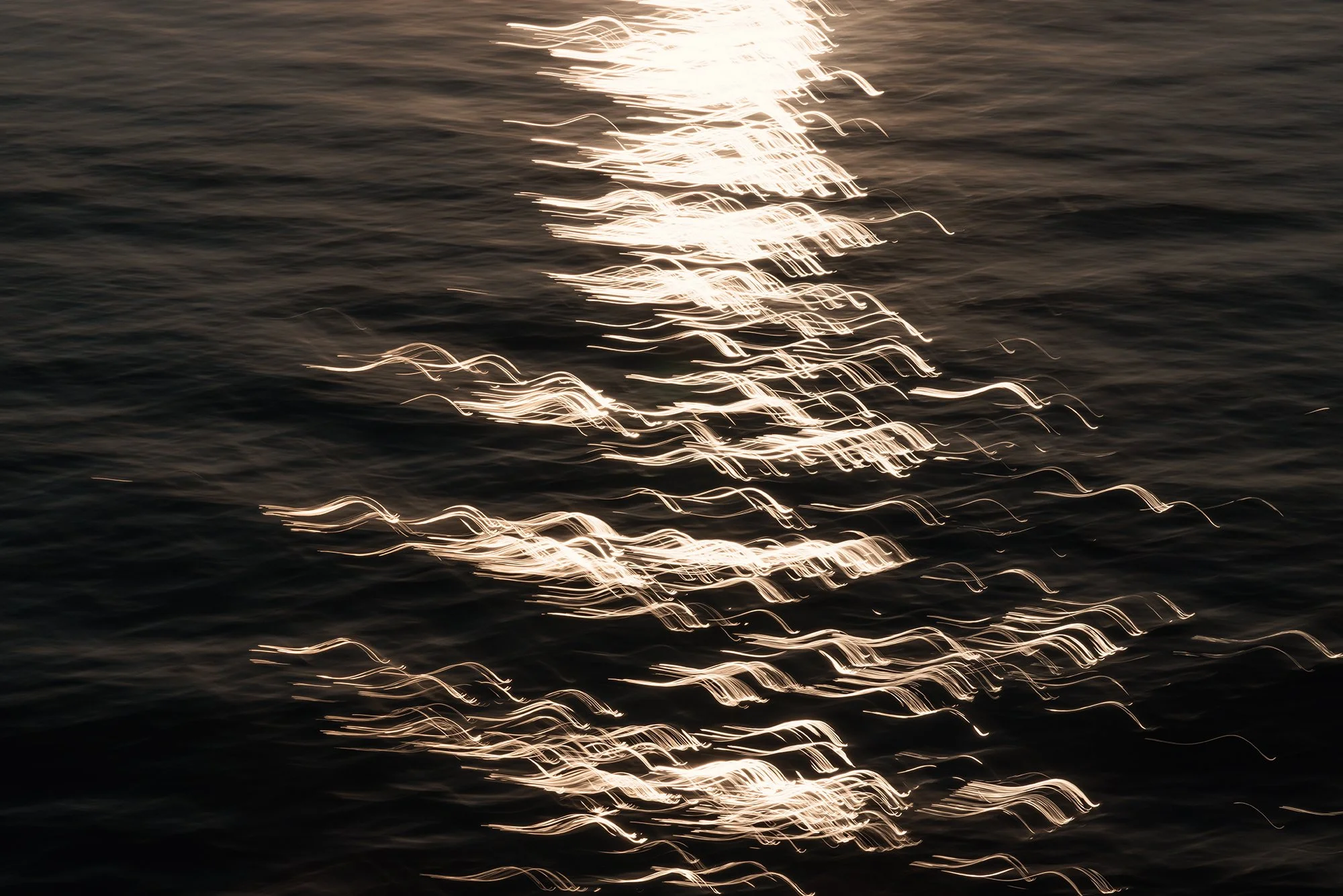 VanZanen_B_223553 30Nov 1K1A9227.jpg