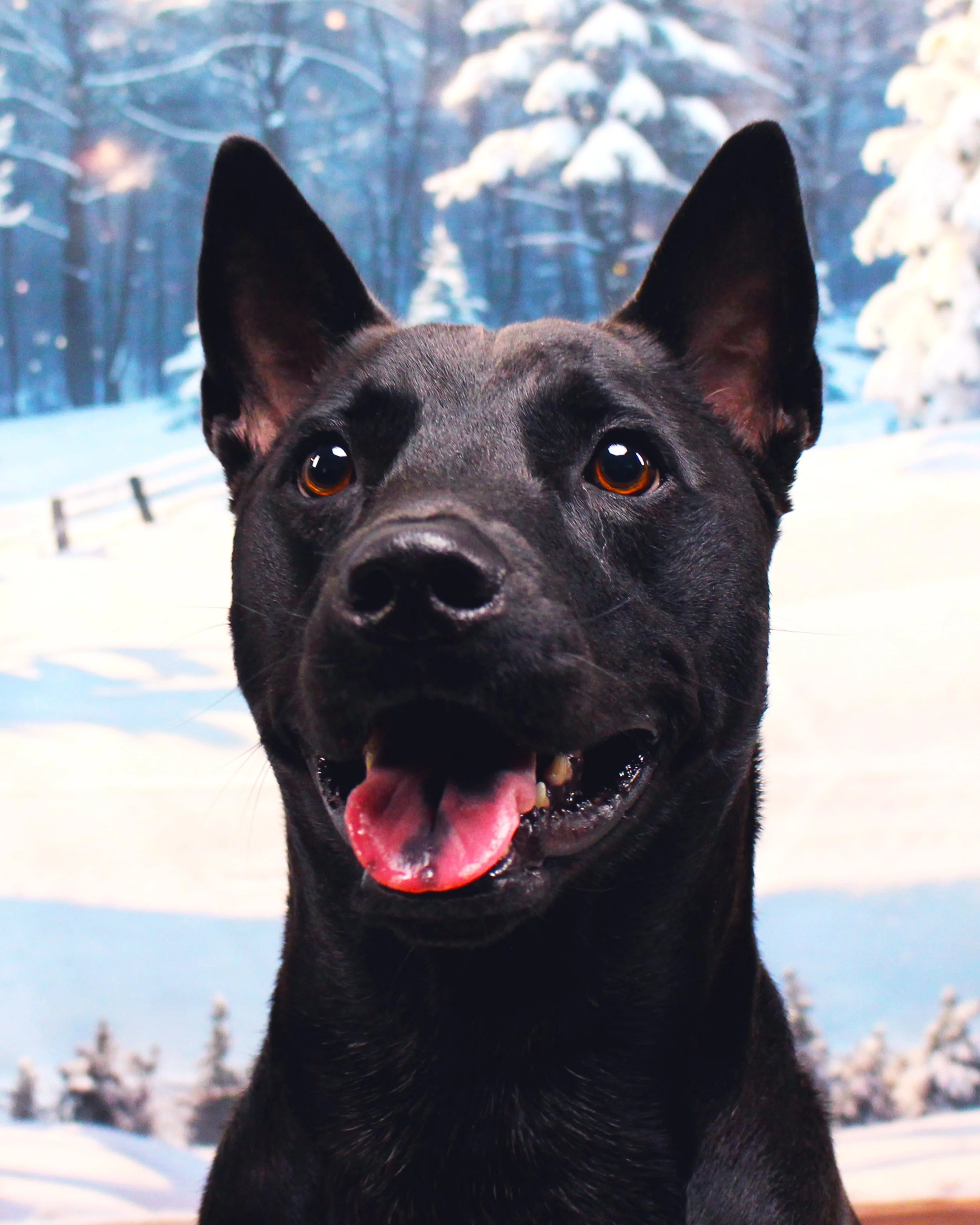 Jack Winter Closeup.jpg