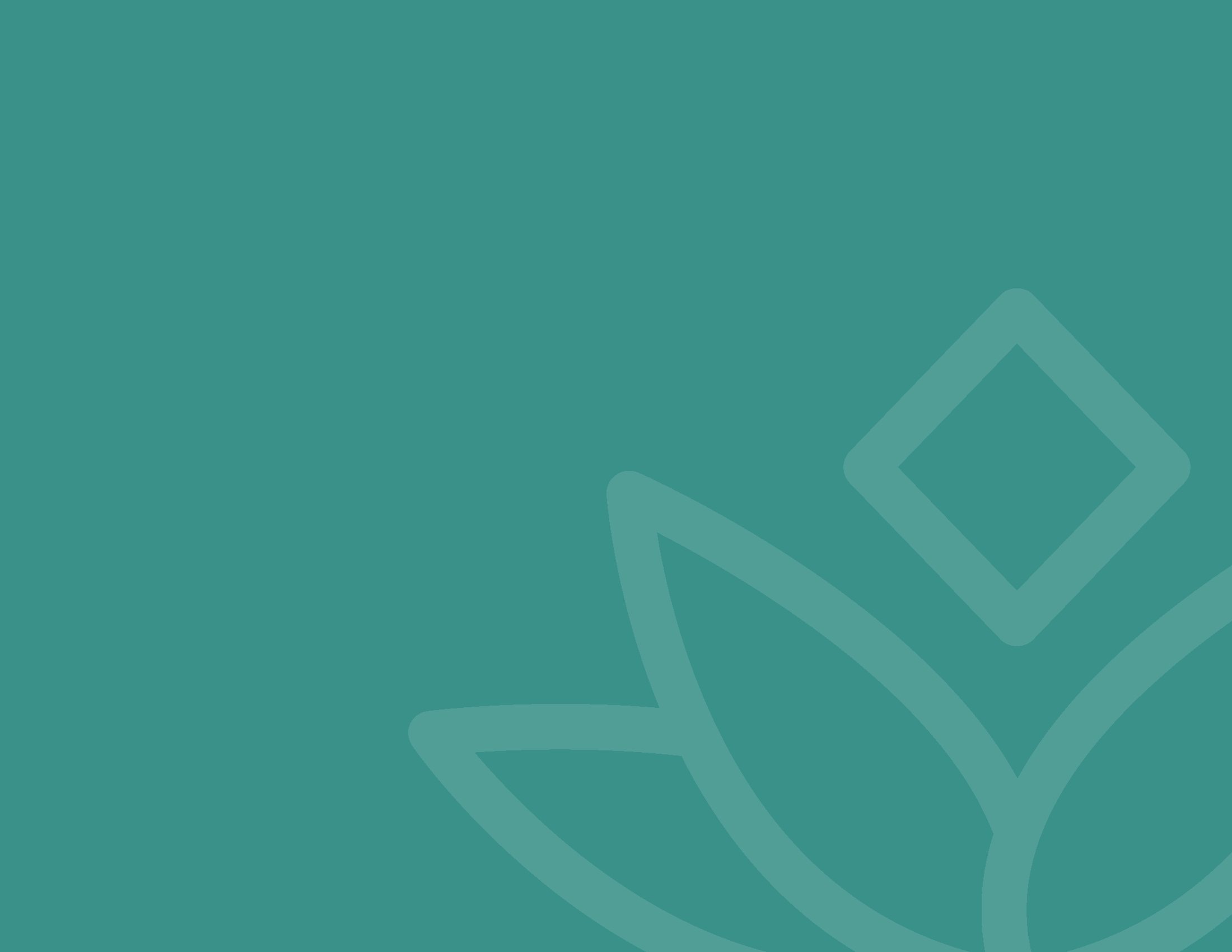 25-VTRA-1267P Brand Usage Book R7_Page_14.png