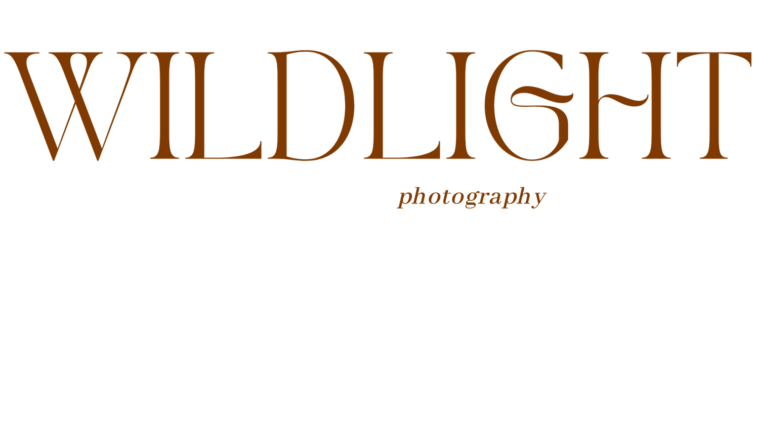 Wildlight Photography